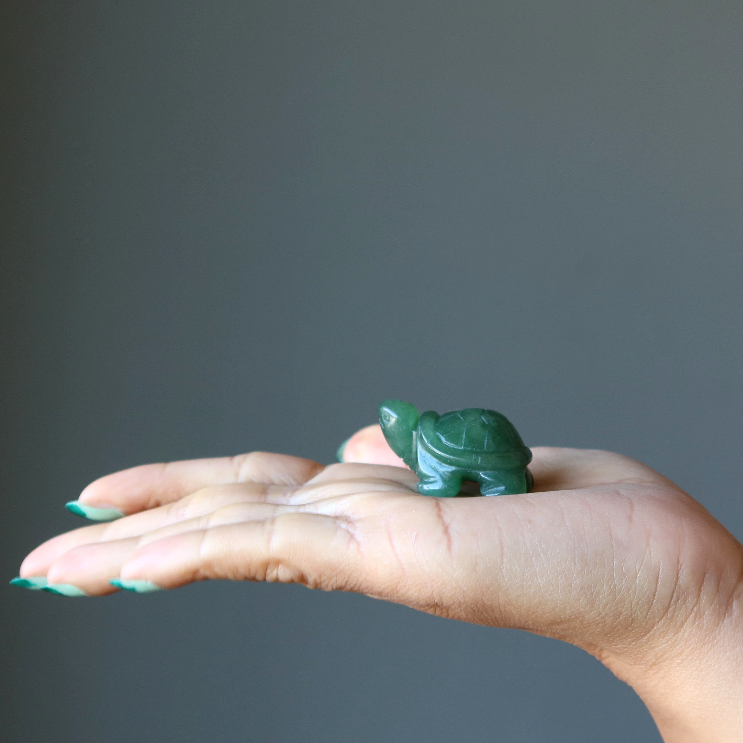 Green Aventurine Turtle Walk of Wealth Stone