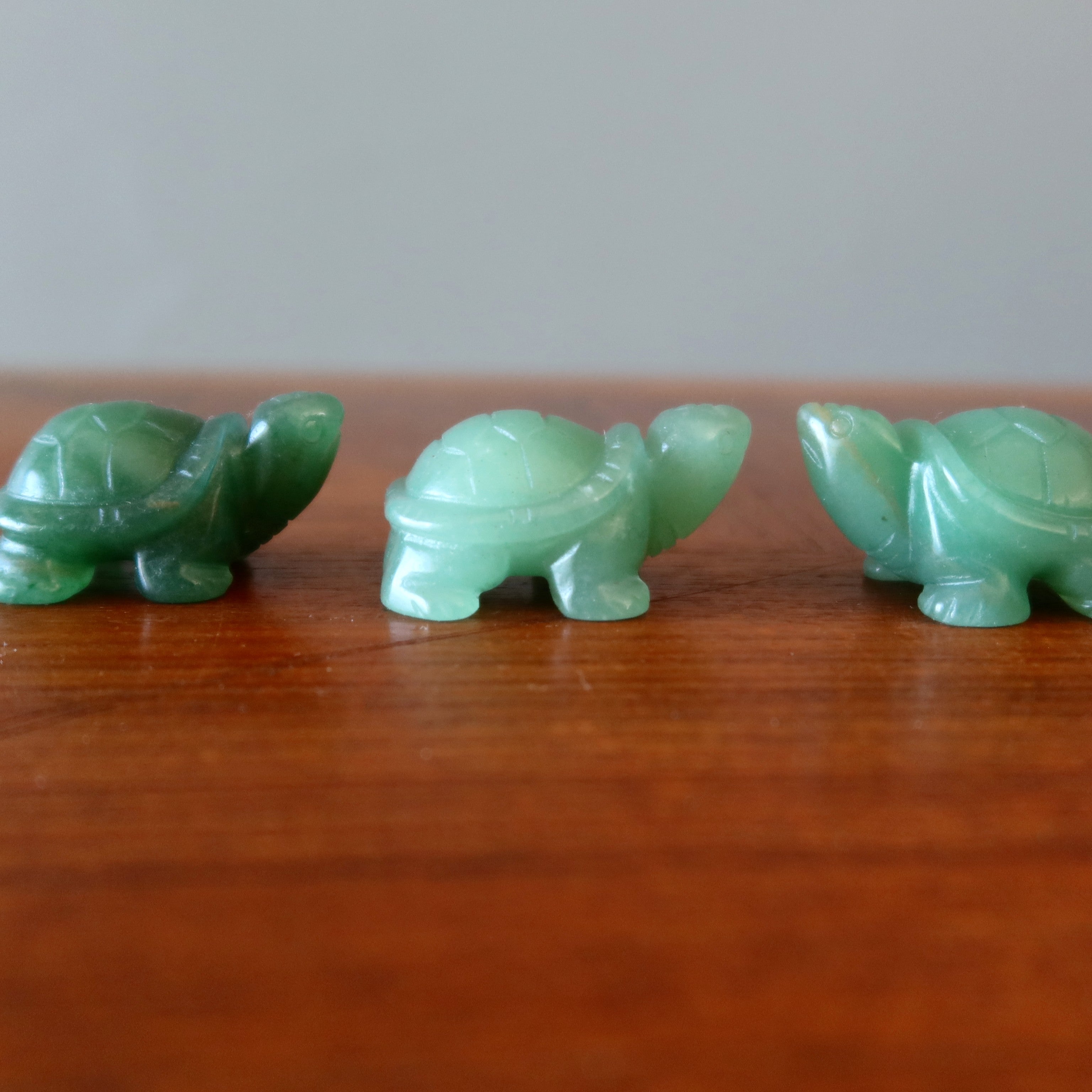 Green Aventurine Turtle Walk of Wealth Stone