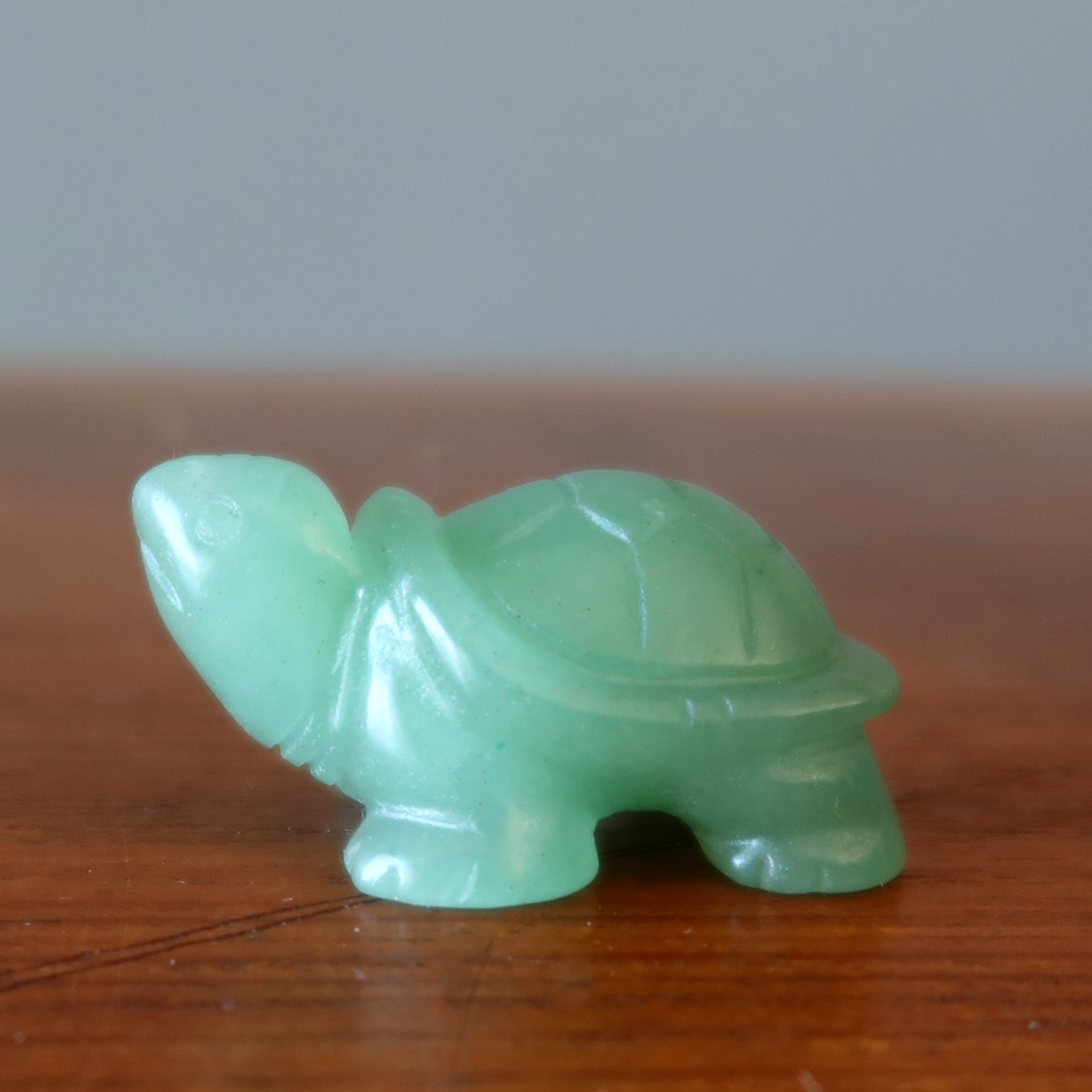 Green Aventurine Turtle Walk of Wealth Stone