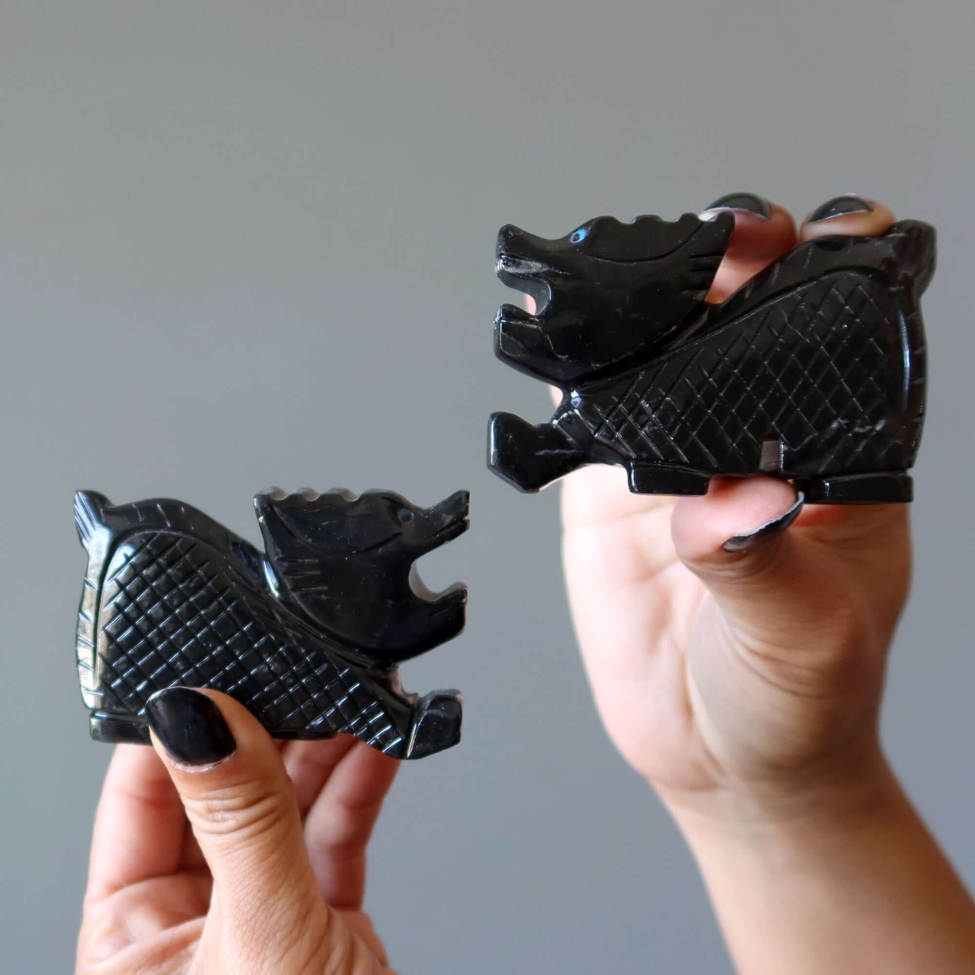 Dragonnets noirs Protégez vos Cristaux de Joie