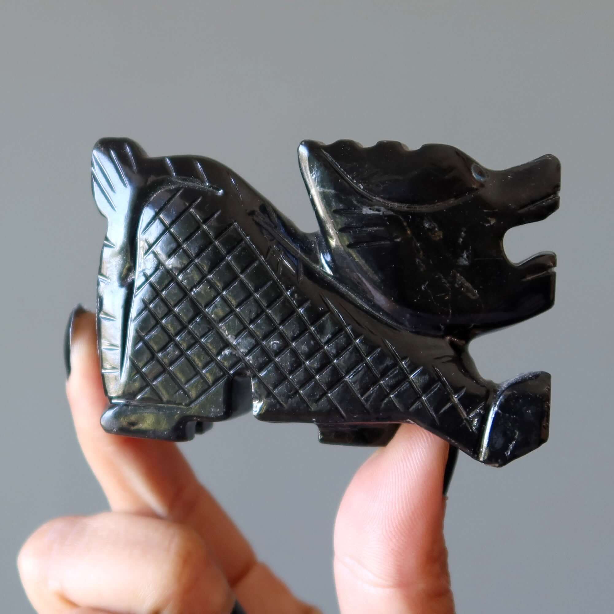Dragonnets noirs Protégez vos Cristaux de Joie