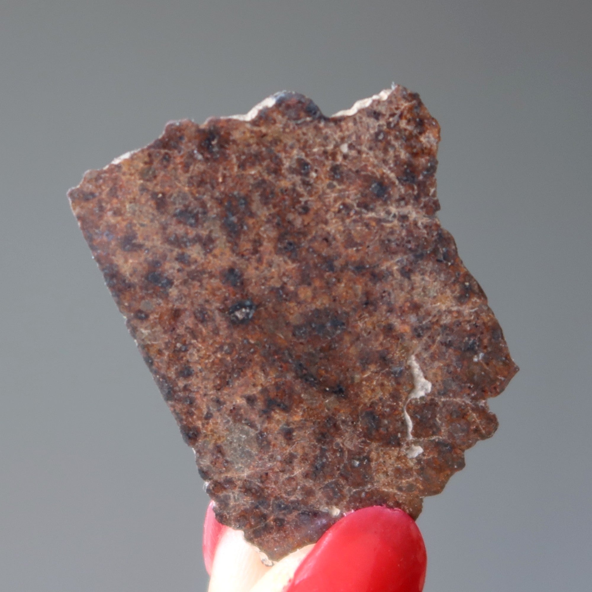 Calate Meteorite 002 L6 Chondrite Chile Galaxy Stone