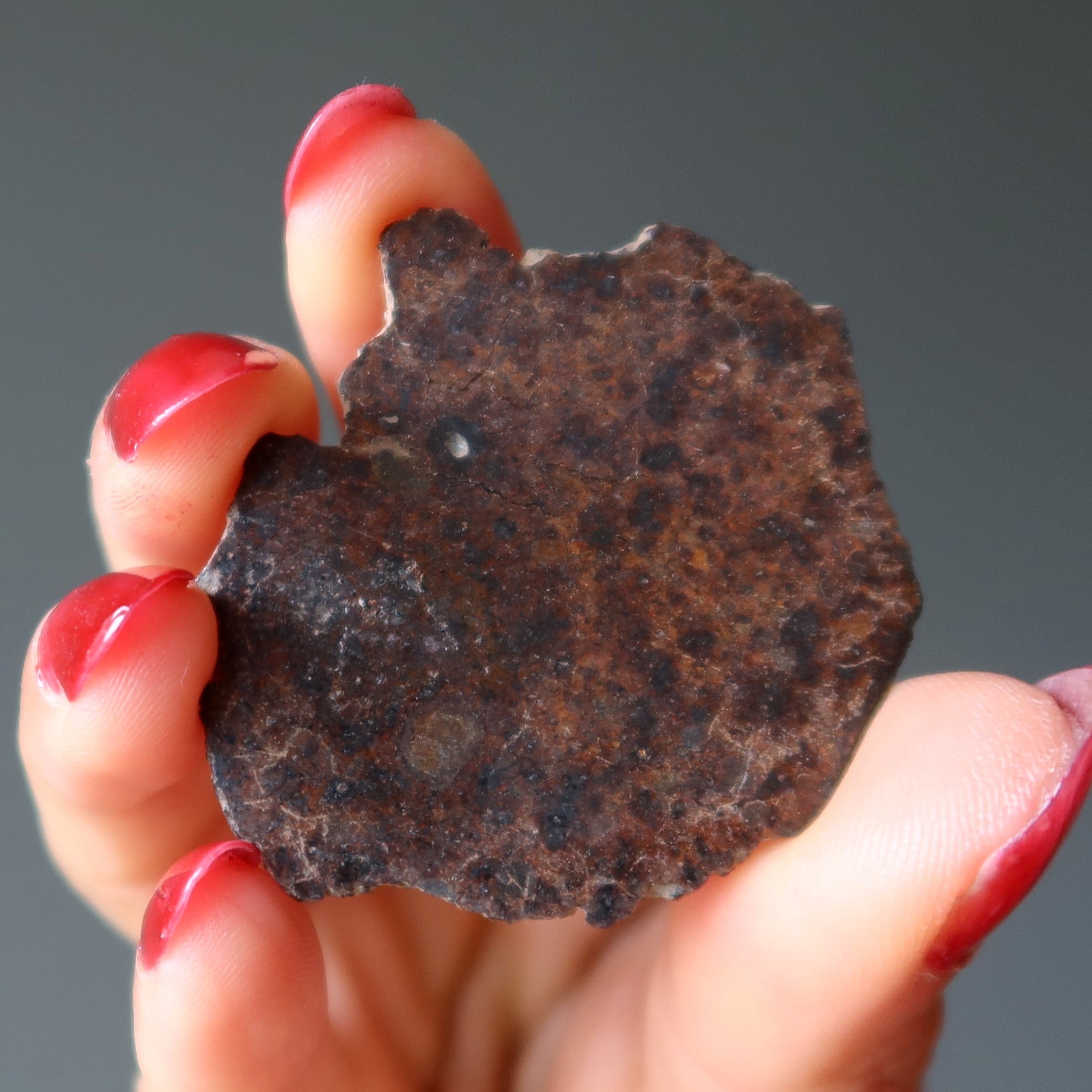 Calate Meteorite 002 L6 Chondrite Chile Galaxy Stone