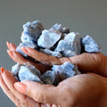 Rohkristallbündel Blauer Calcit, Himmelsmandala, 35 Stück