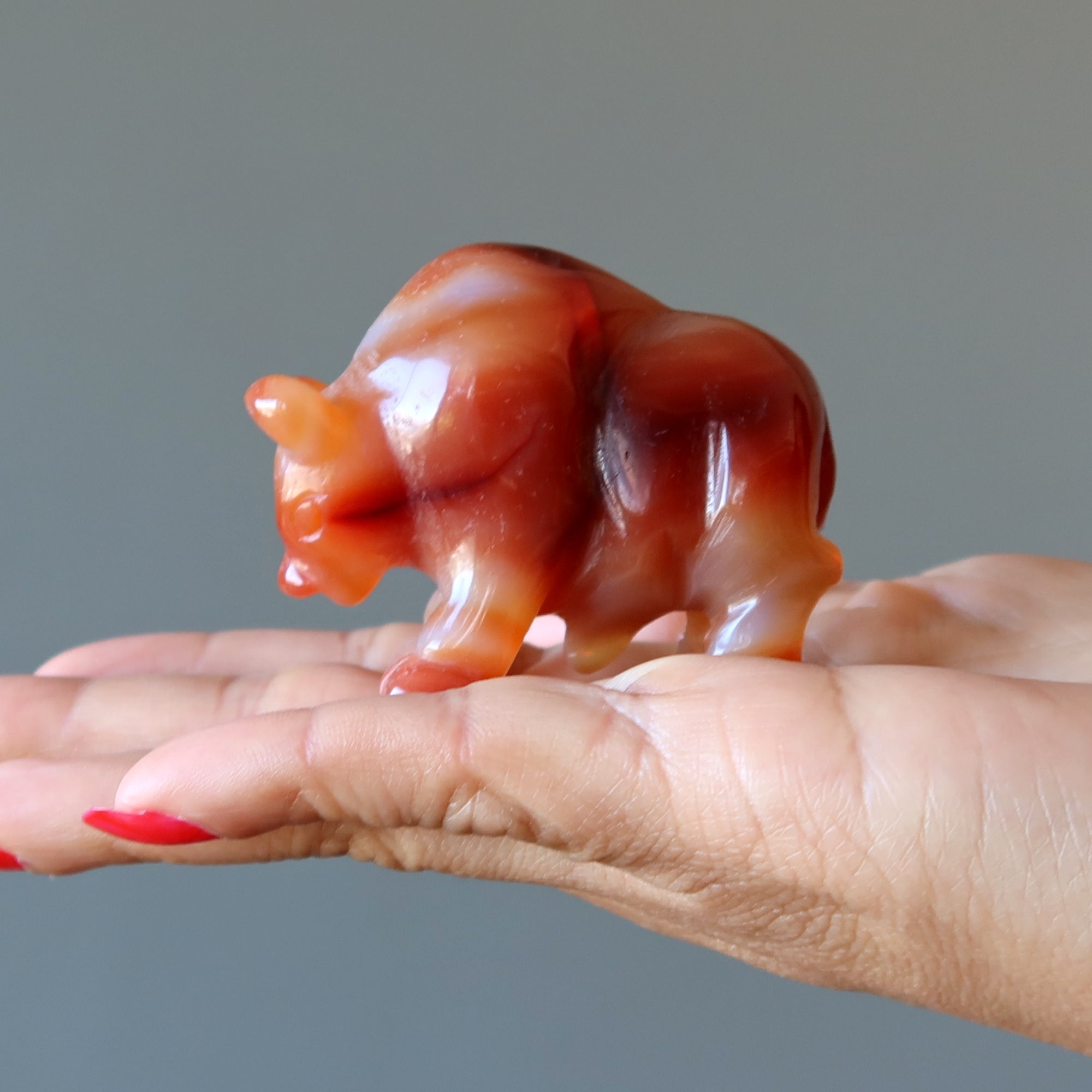 Carnelian Buffalo Courage Vitality Orange Guardian Animal