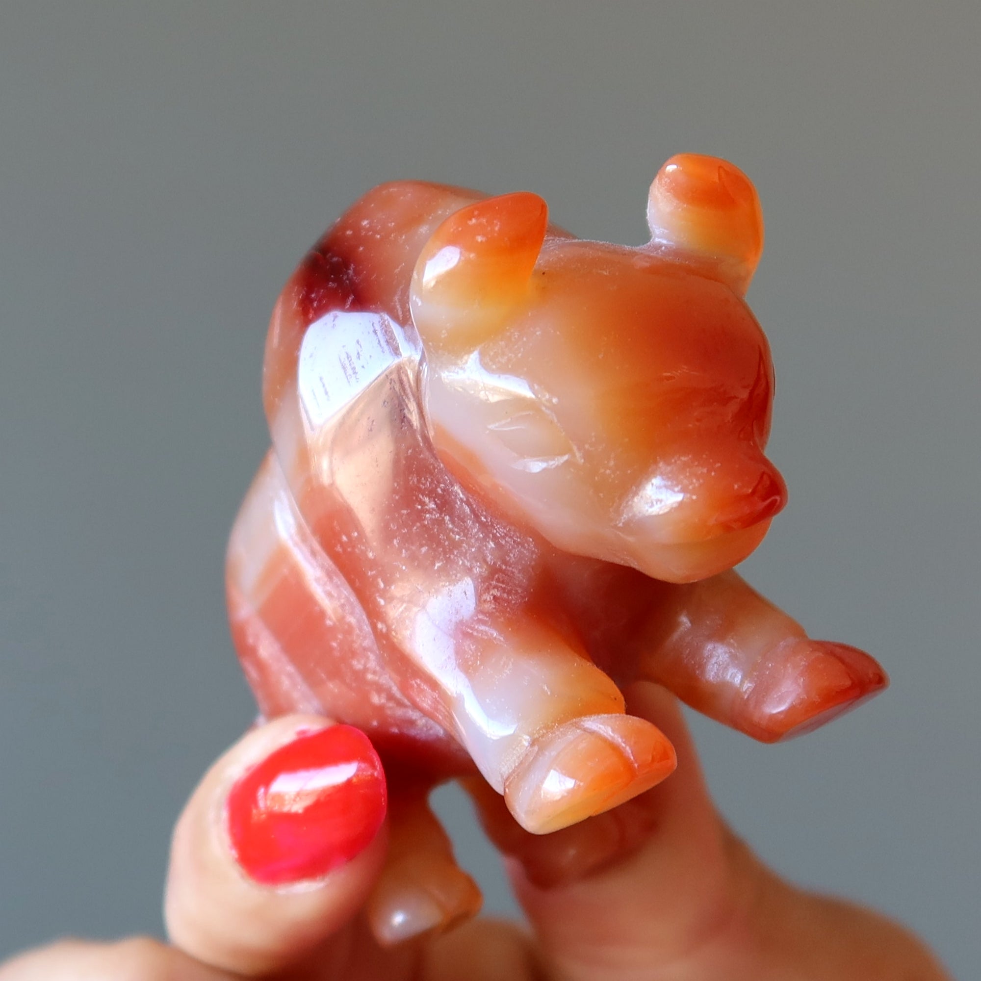 Carnelian Buffalo Courage Vitality Orange Guardian Animal