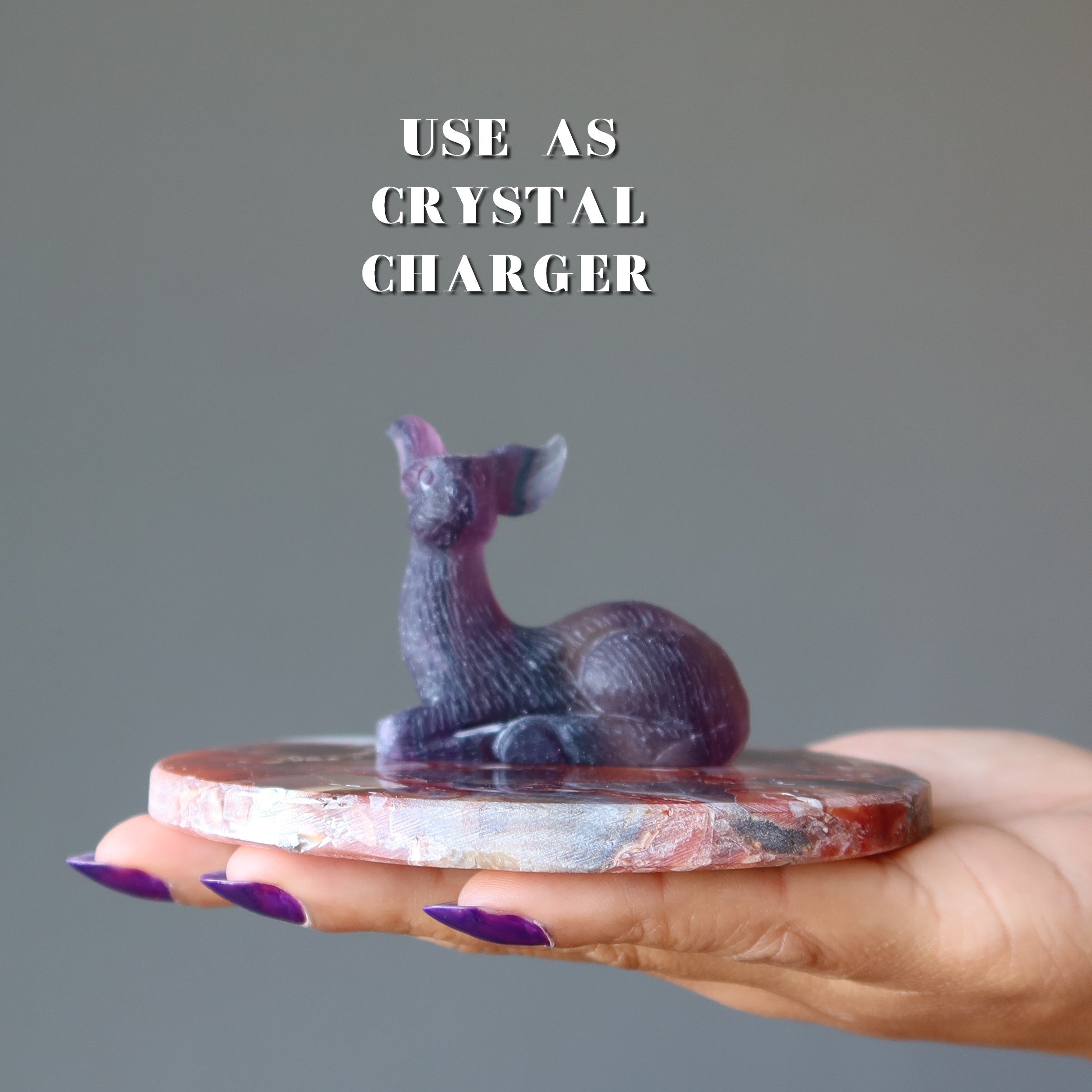 Carnelian Charger Circle Coaster Jolt of Energy
