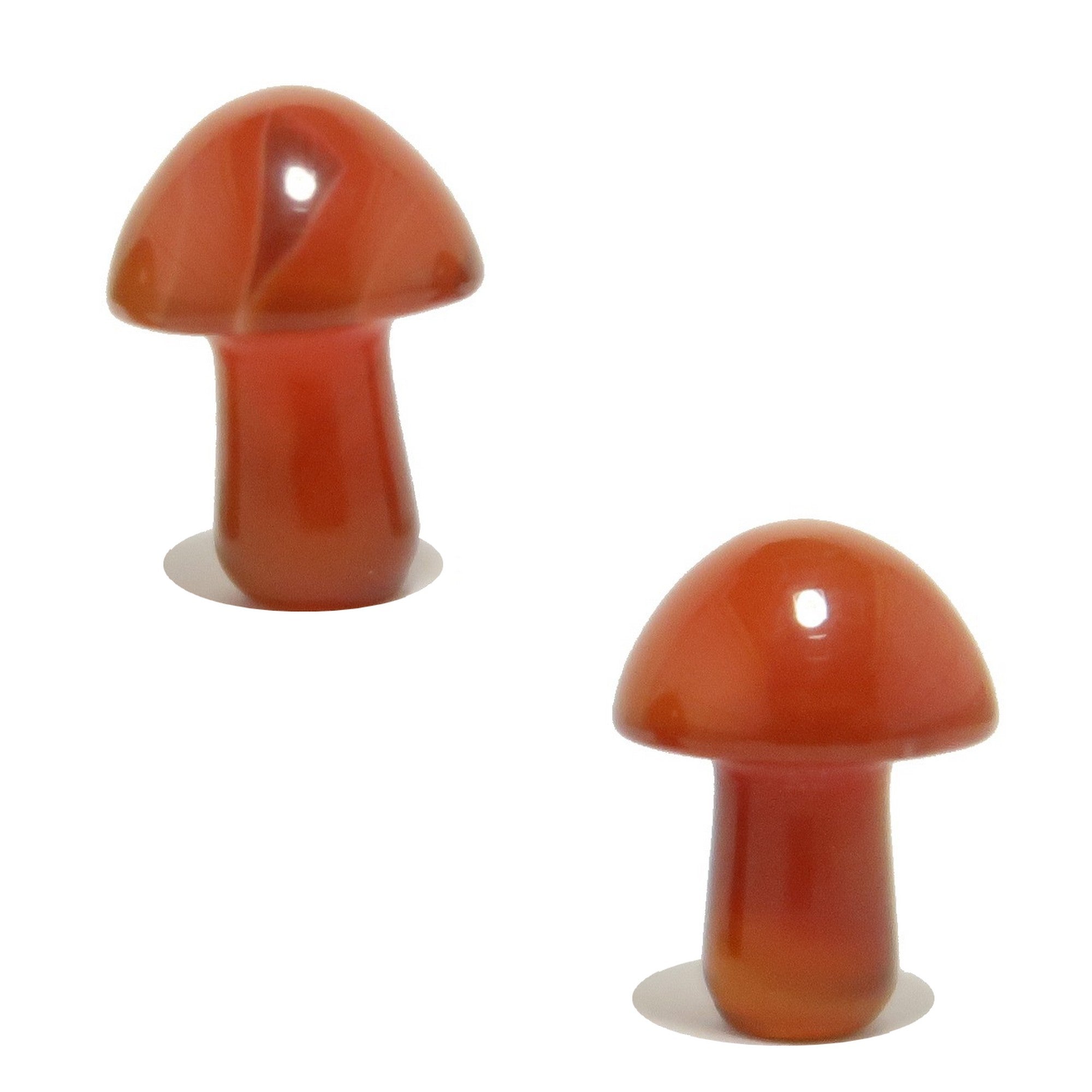 Karneol Pilzsuche Rot Orange Kristall