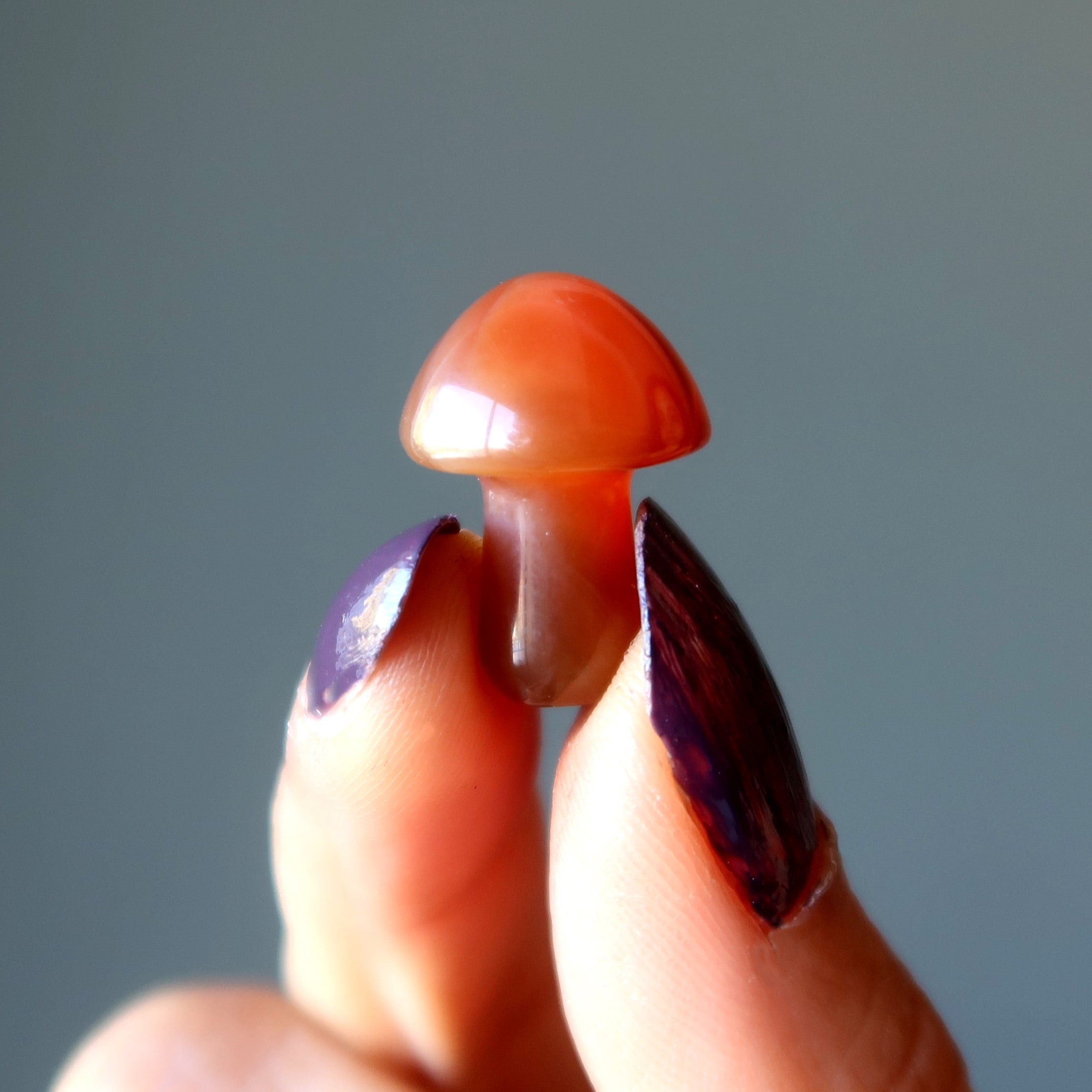 Carnelian Mushroom Forage Red Orange Crystal