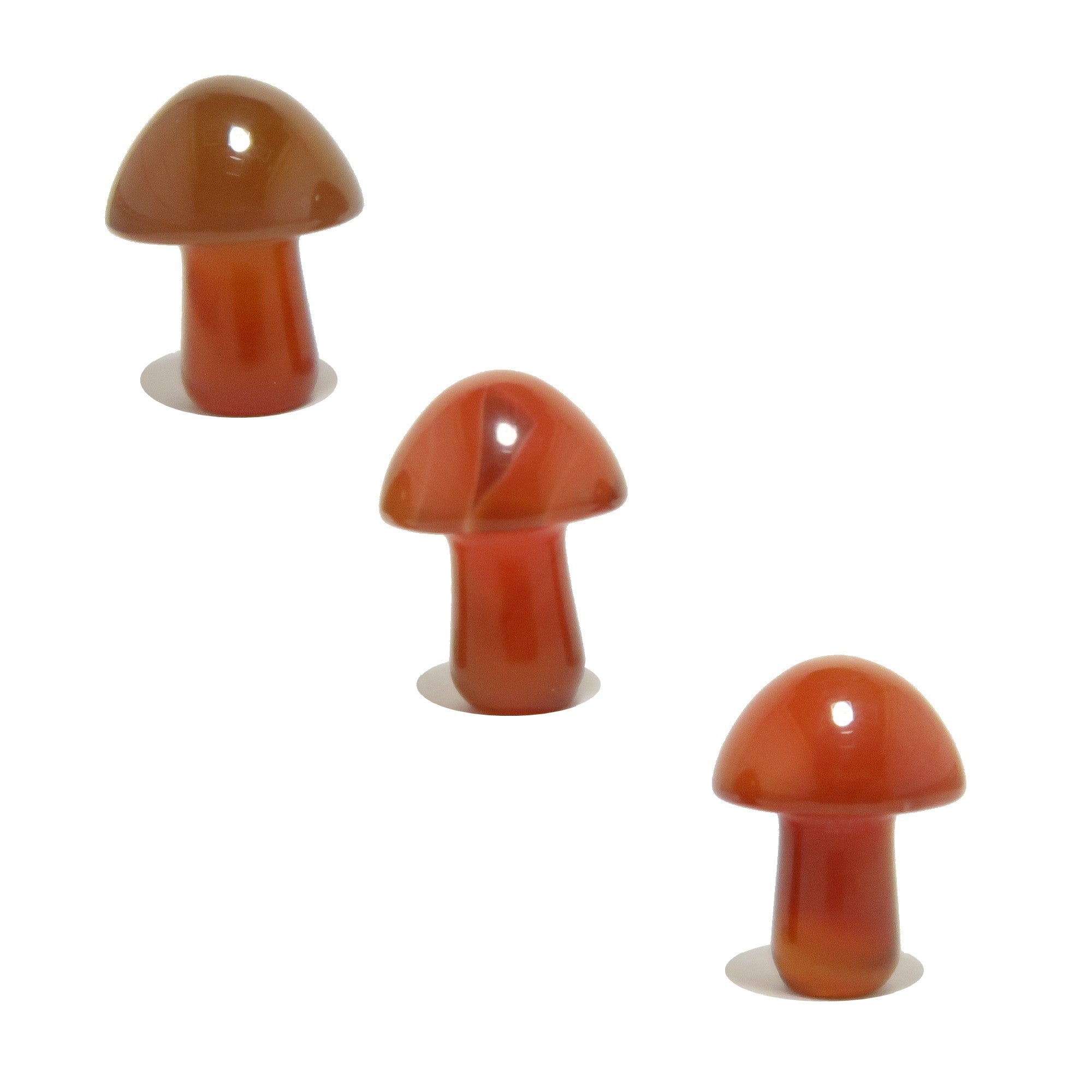 Karneol Pilzsuche Rot Orange Kristall