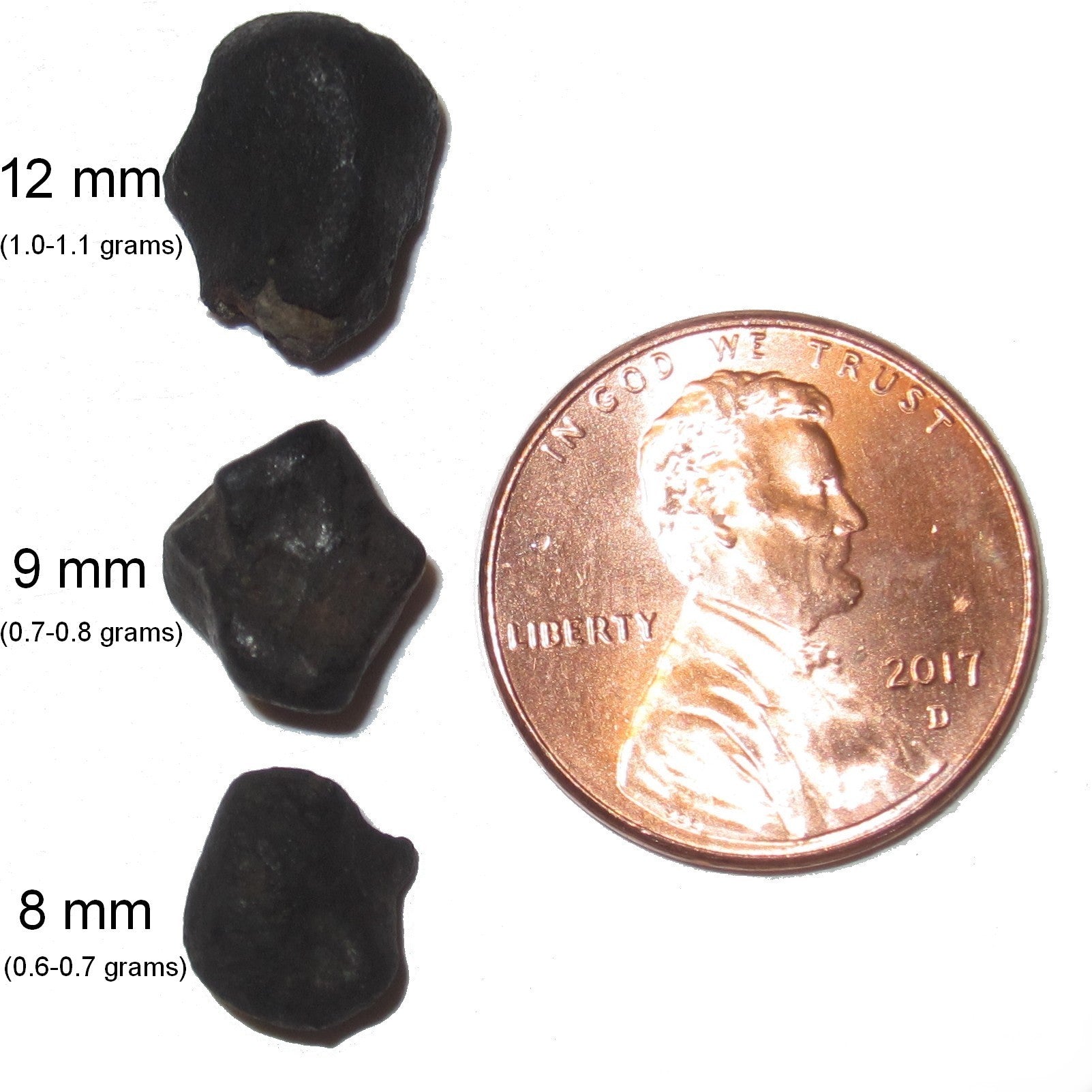 Chondrite à étalons noirs de la météorite de Chelyabinsk