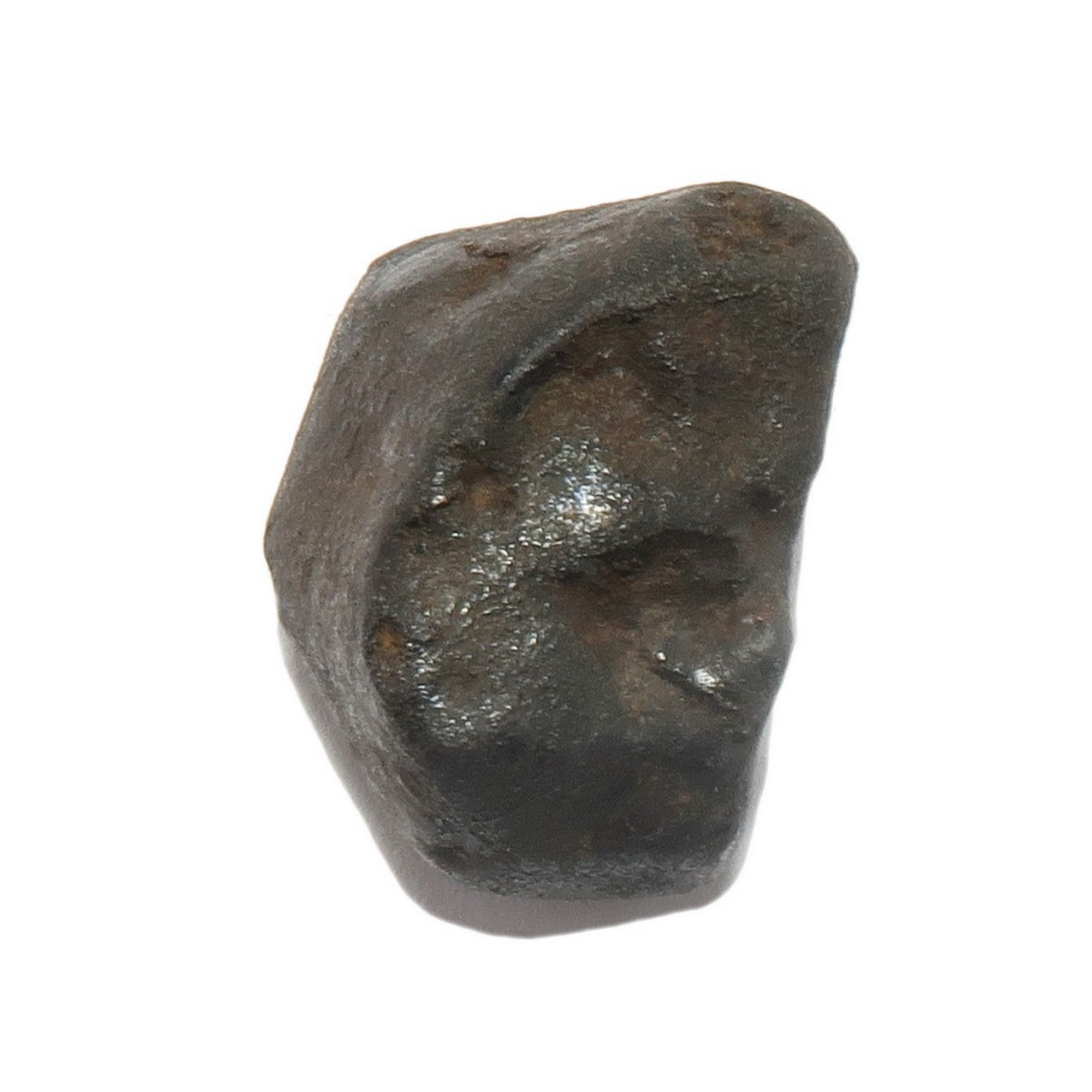 Chondrite à étalons noirs de la météorite de Chelyabinsk