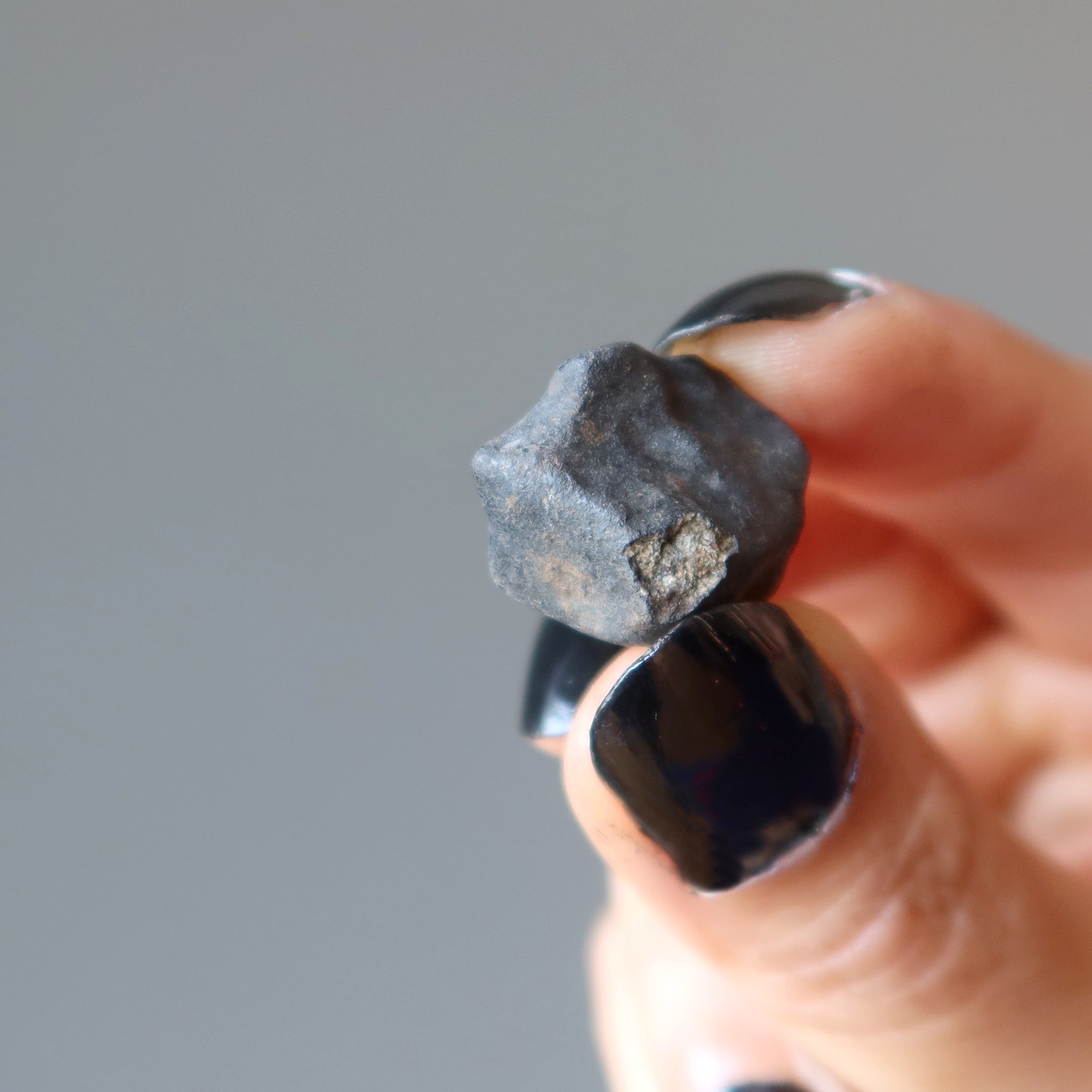 Chondrite à étalons noirs de la météorite de Chelyabinsk