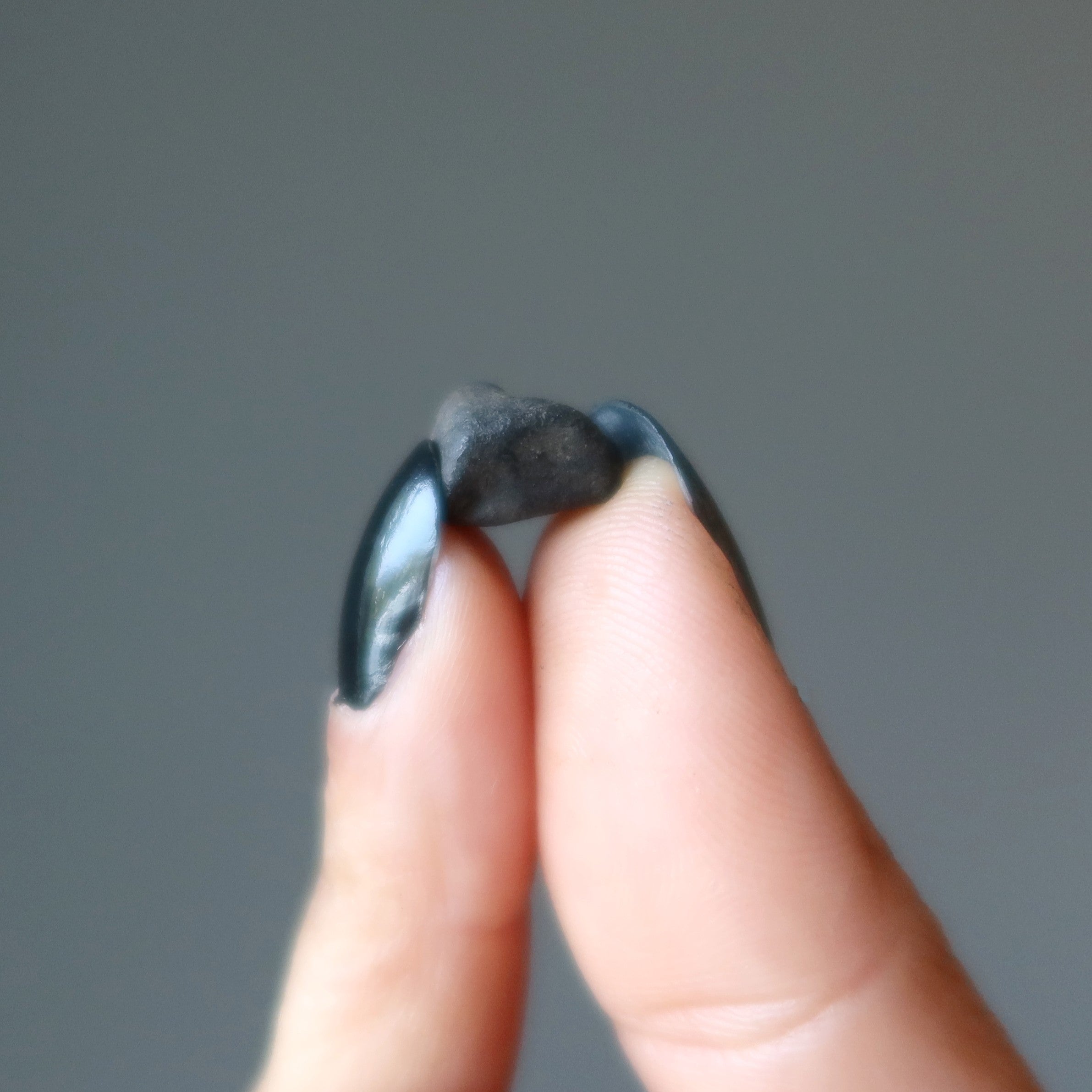 Chondrite à étalons noirs de la météorite de Chelyabinsk