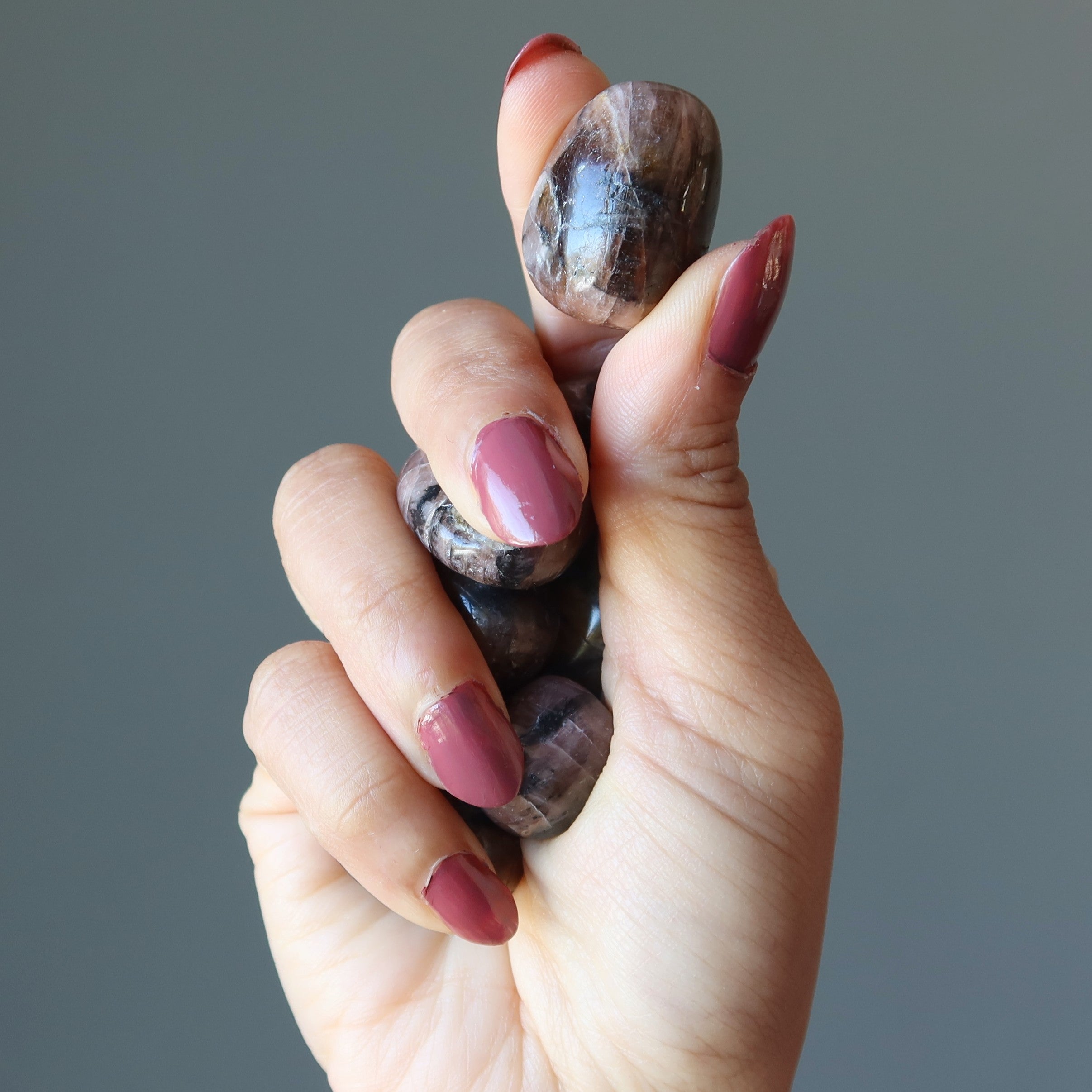 Chiastolite Tumbled Stone Holy Cross Crystal