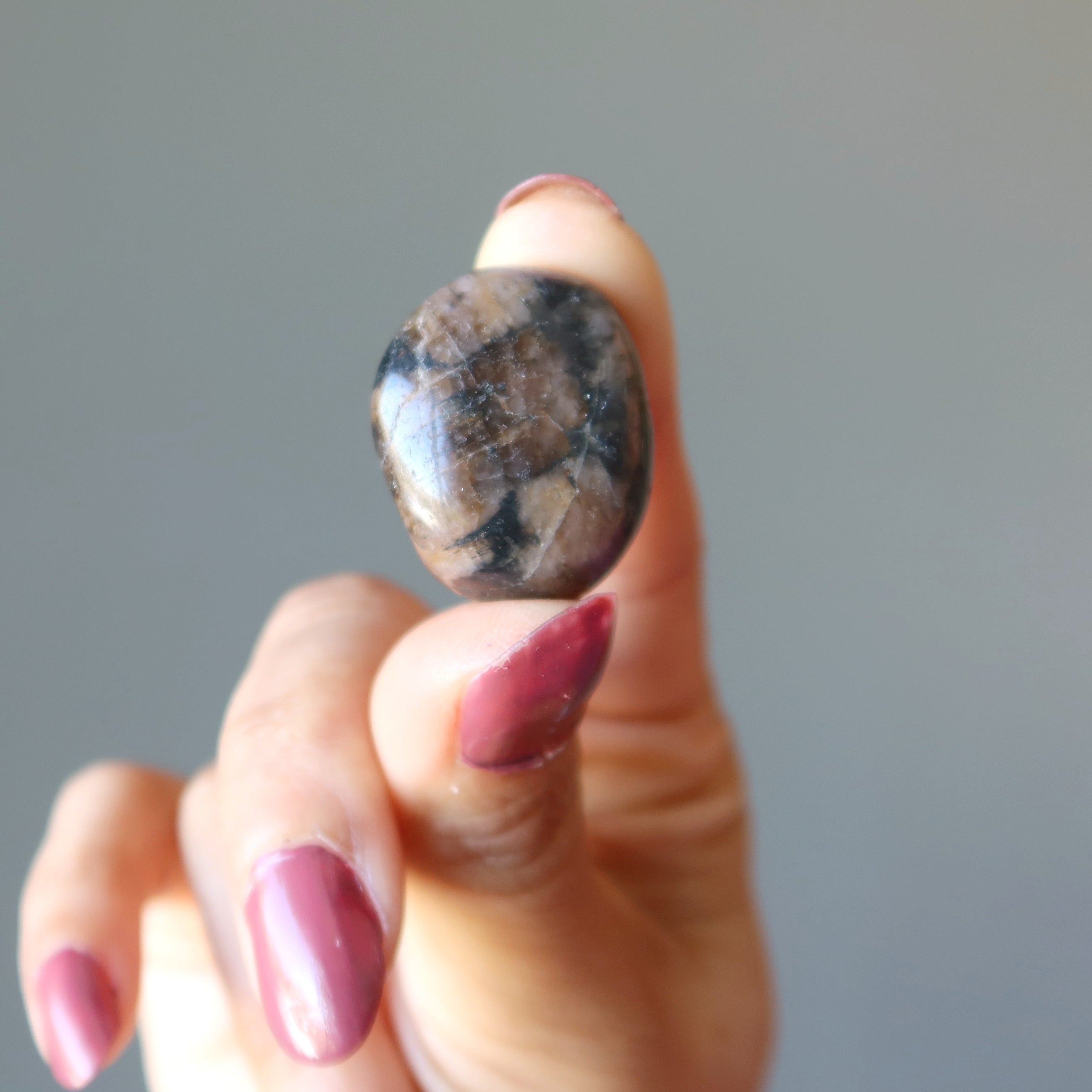 Chiastolite Tumbled Stone Holy Cross Crystal