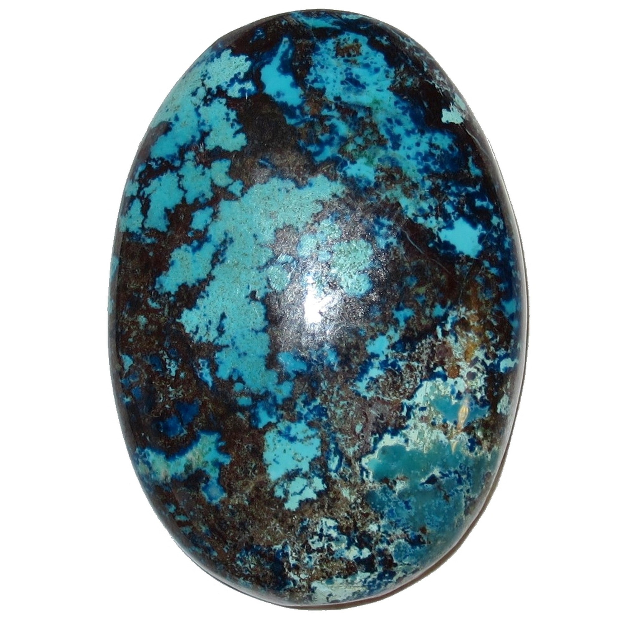 Chrysocolla Grid Crystal Flowers in Water