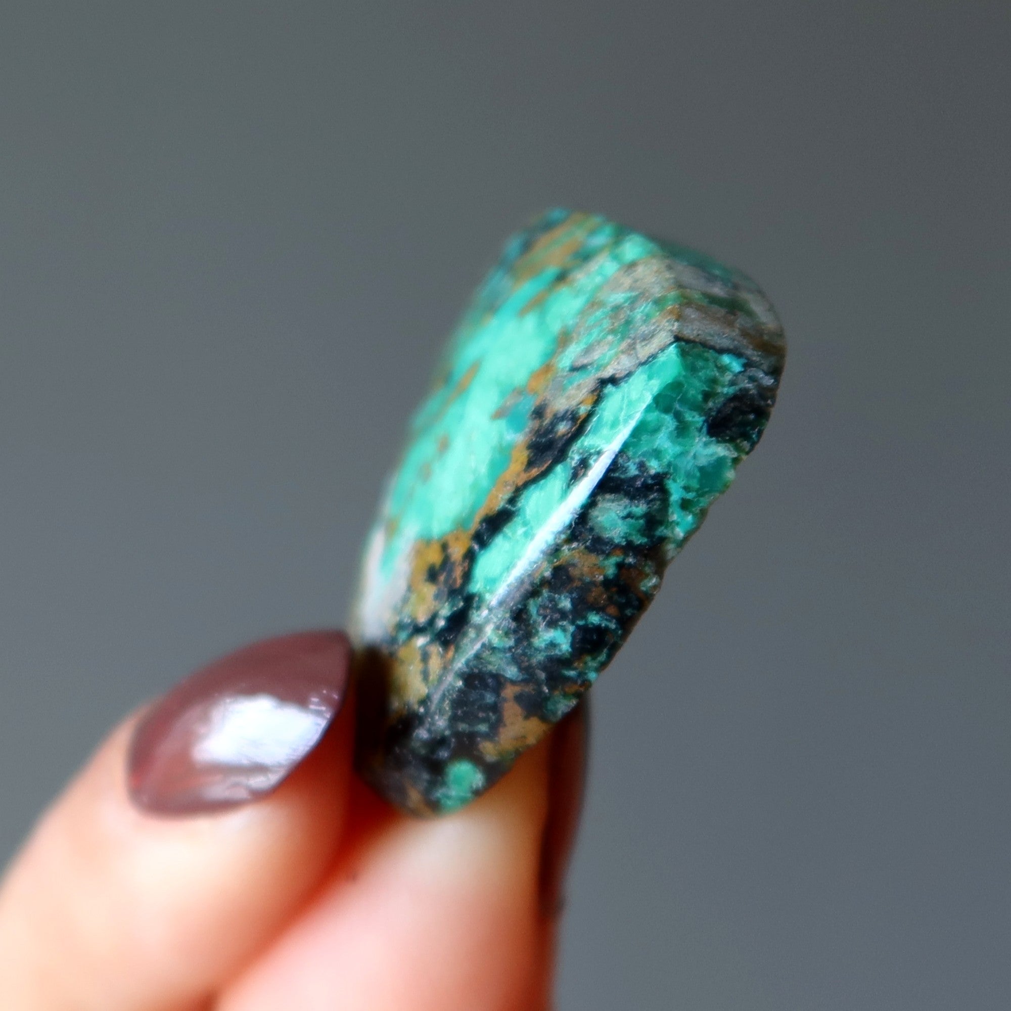 Mandala Nature en Cristal de Chrysocolle en Grille (Paire)