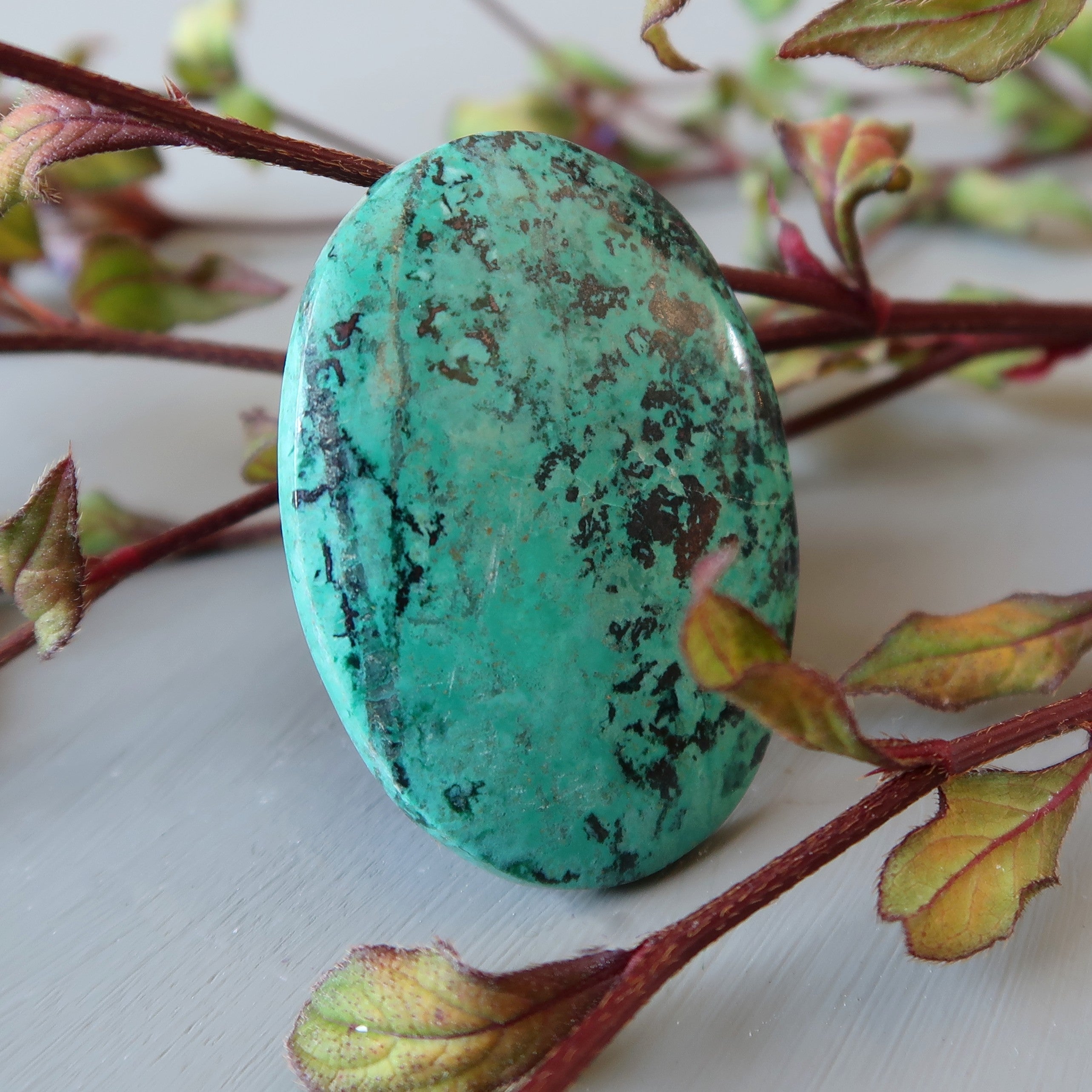 Chrysocolla Grid Crystal Song of Sonora Oval