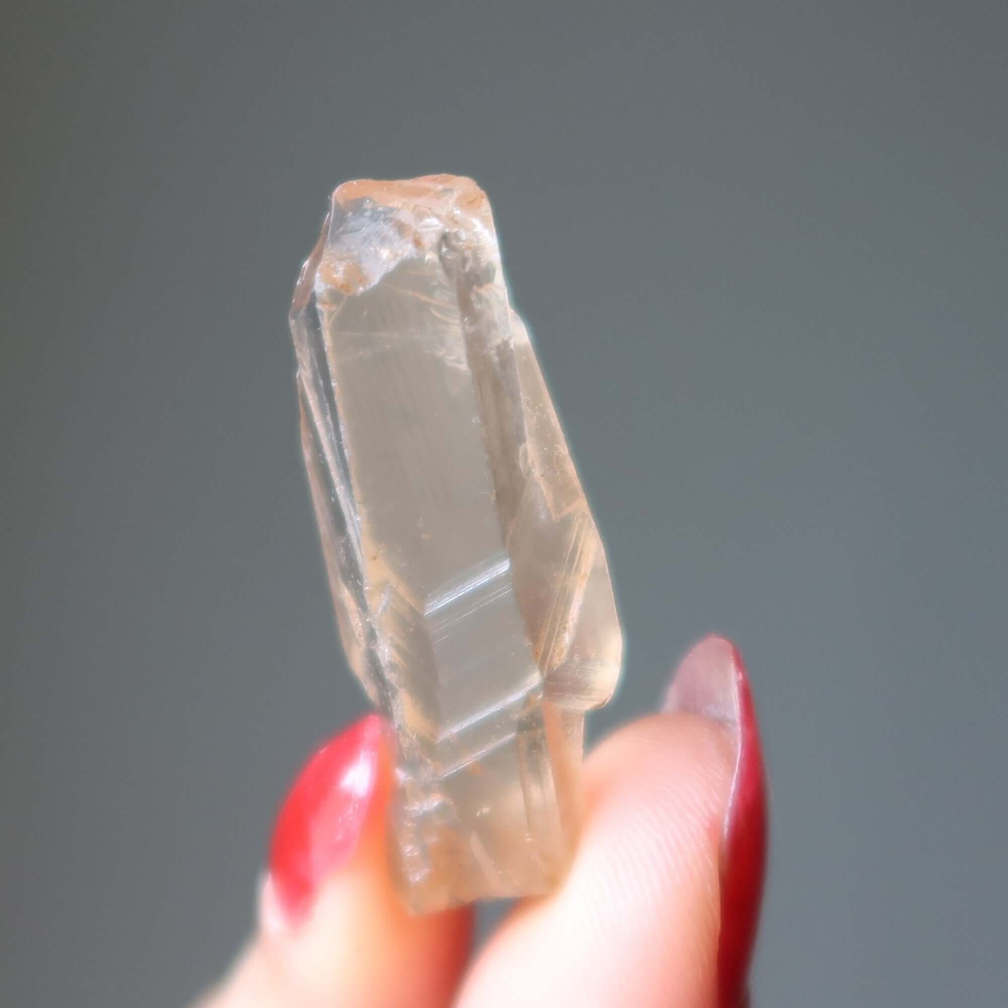 Citrine Brut Non Traité Trésor des Magnats