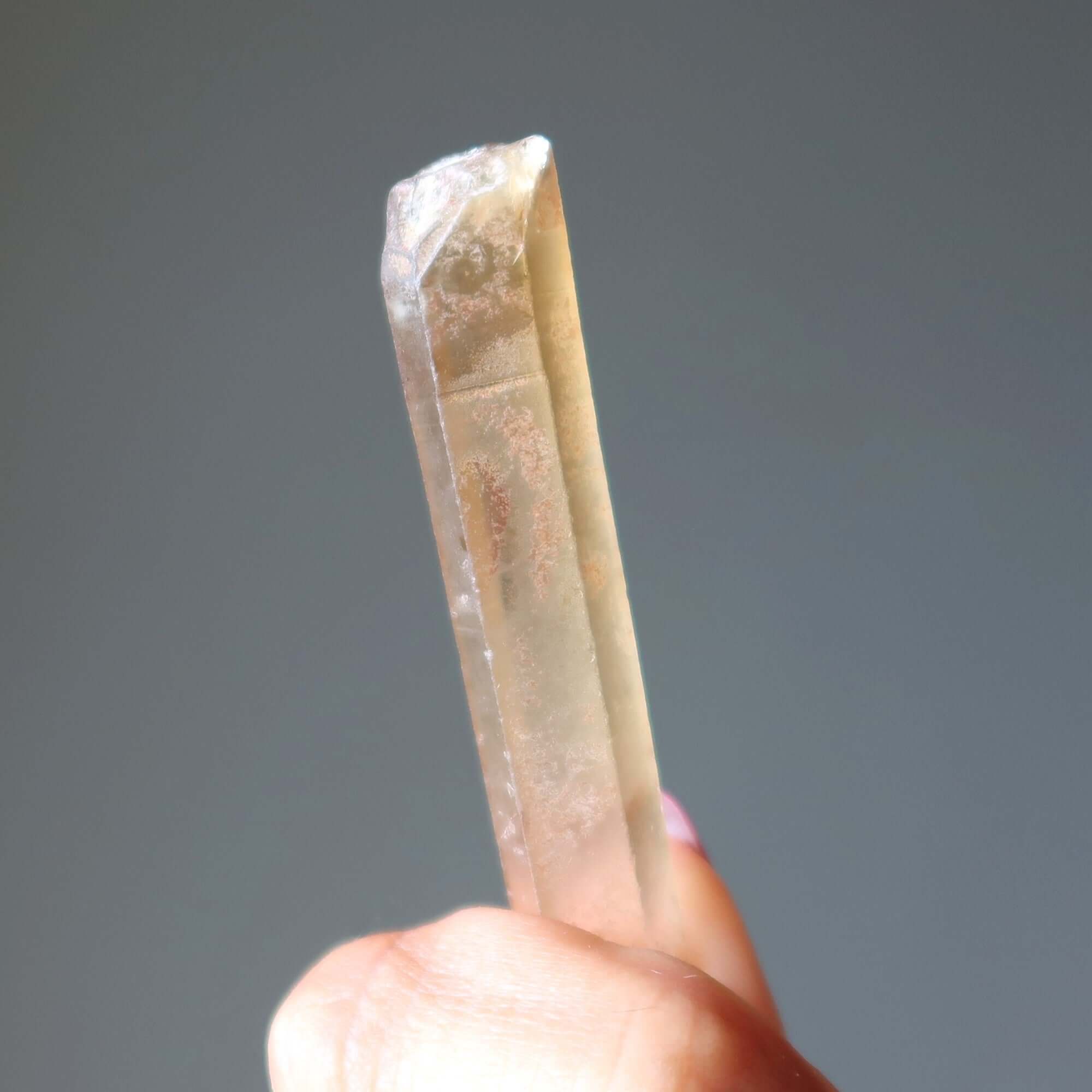 Citrine Brut Non Traité Trésor des Magnats