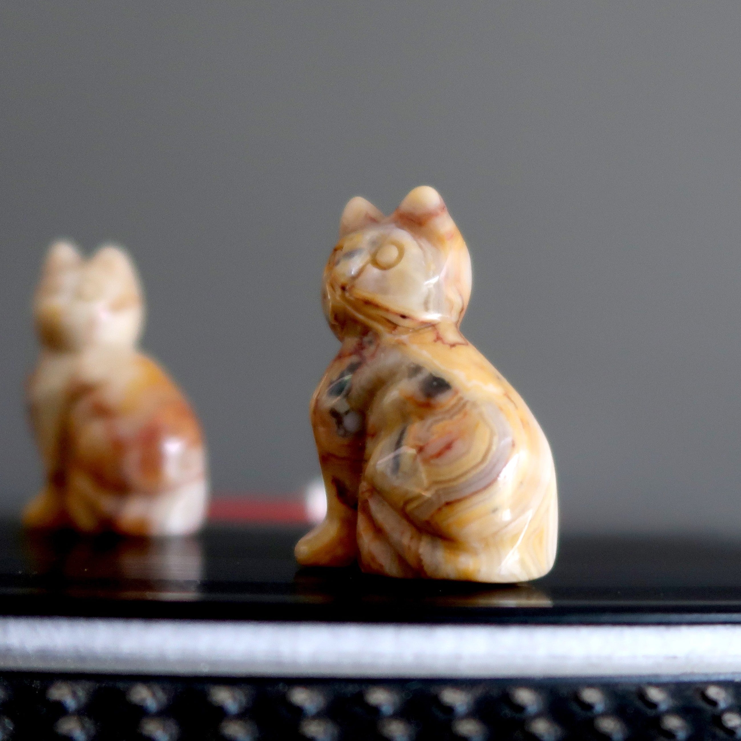 Agate Crazy Lace Cat Set Yellow Calico Stone Pair Spirit Animals