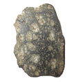 Eucrite Meteorite Goddess Vesta Asteroid Belt Stone