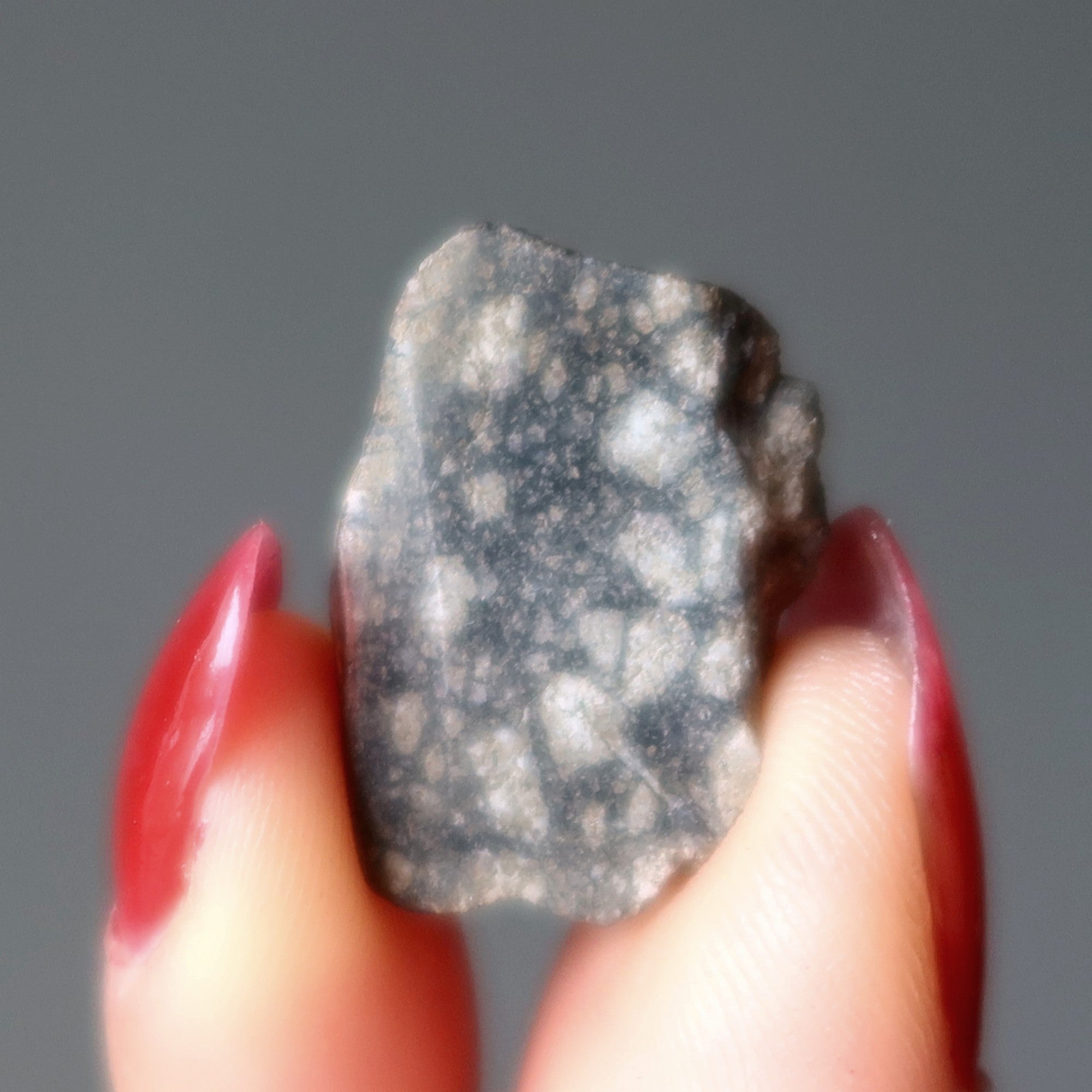 Eucrite Meteorite Goddess Vesta Asteroid Belt Stone