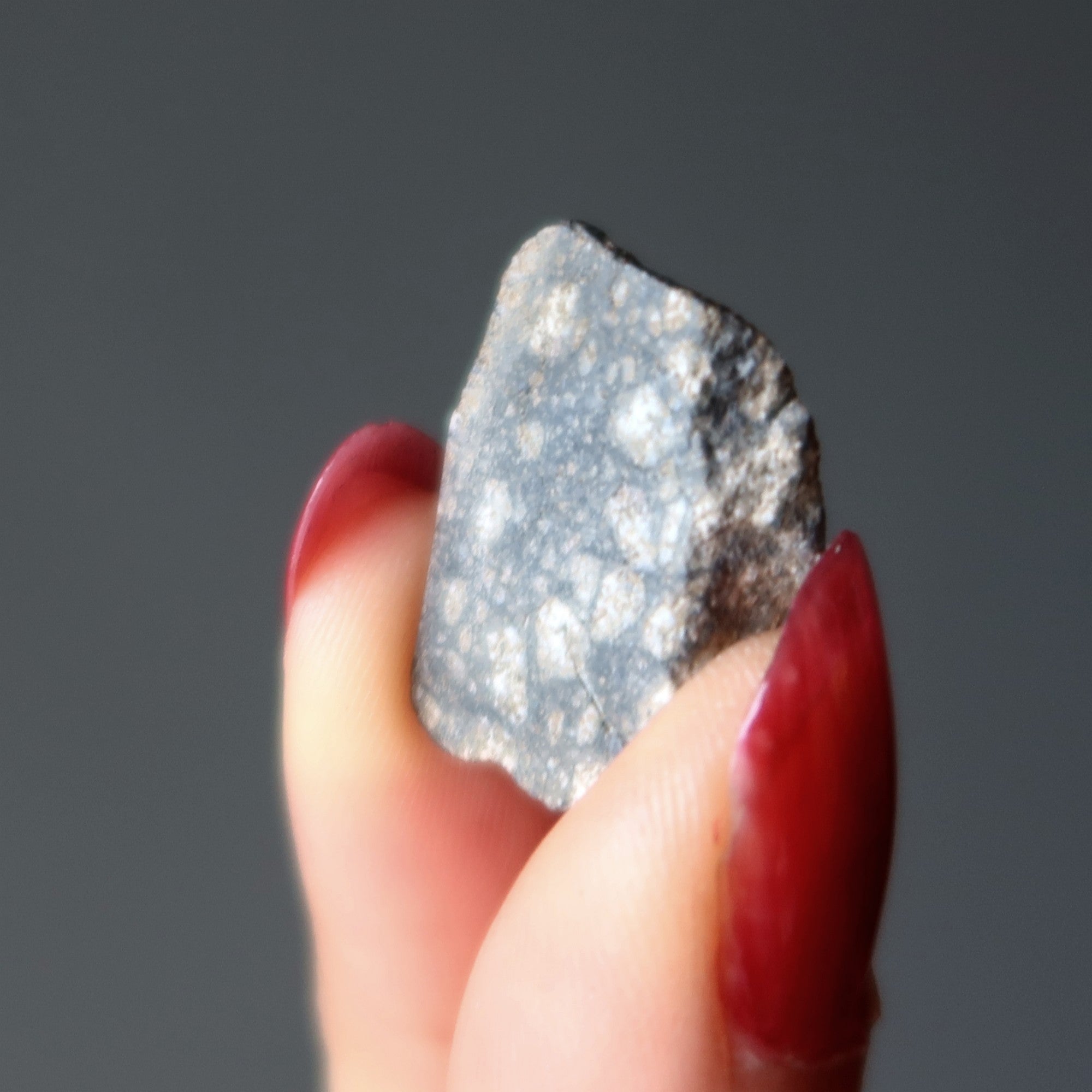 Eucrite Meteorite Goddess Vesta Asteroid Belt Stone