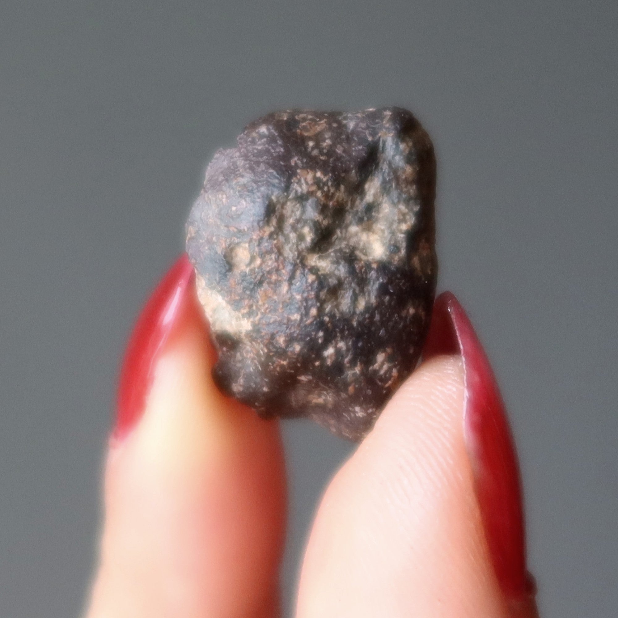 Eucrite Meteorite Goddess Vesta Asteroid Belt Stone
