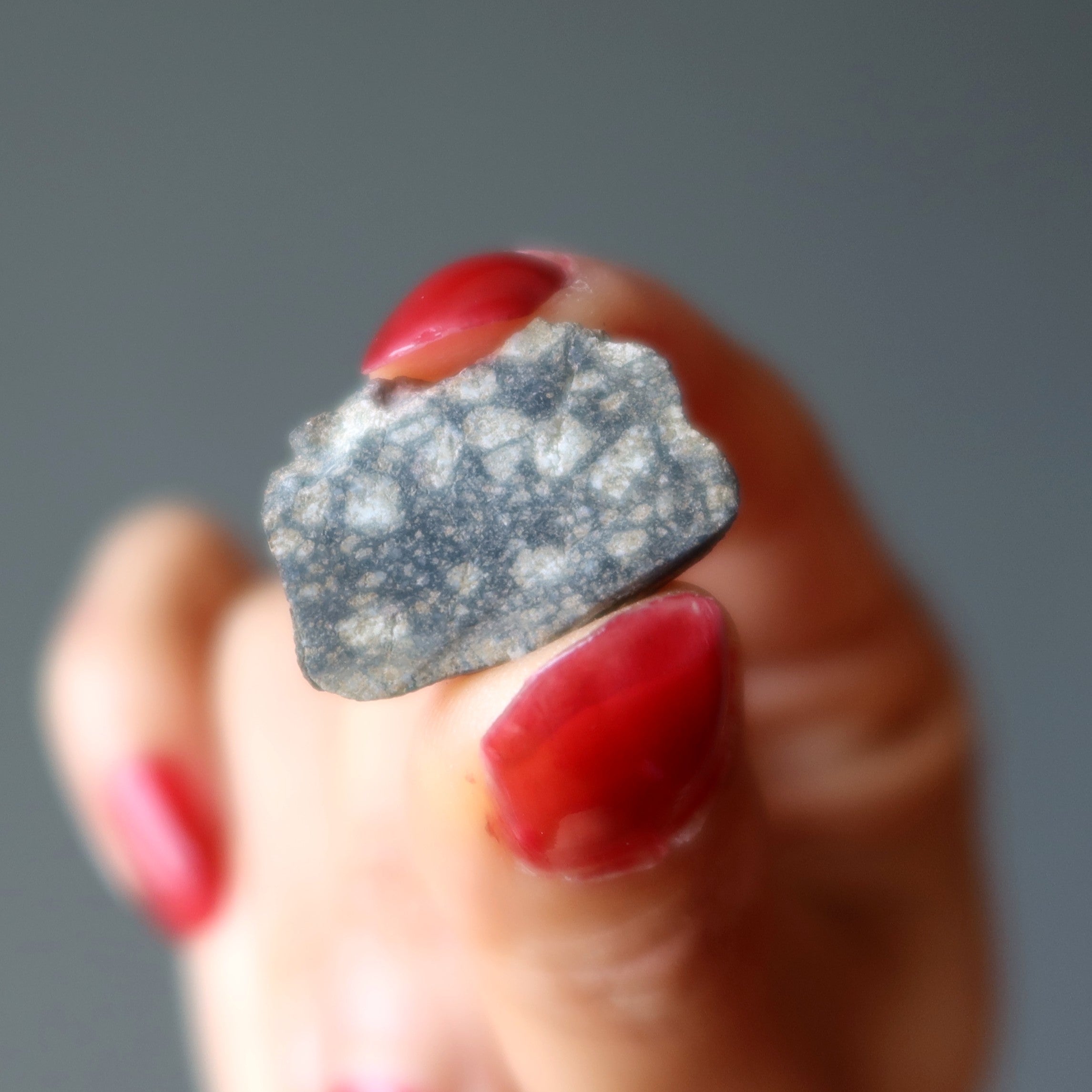 Eucrite Meteorite Goddess Vesta Asteroid Belt Stone