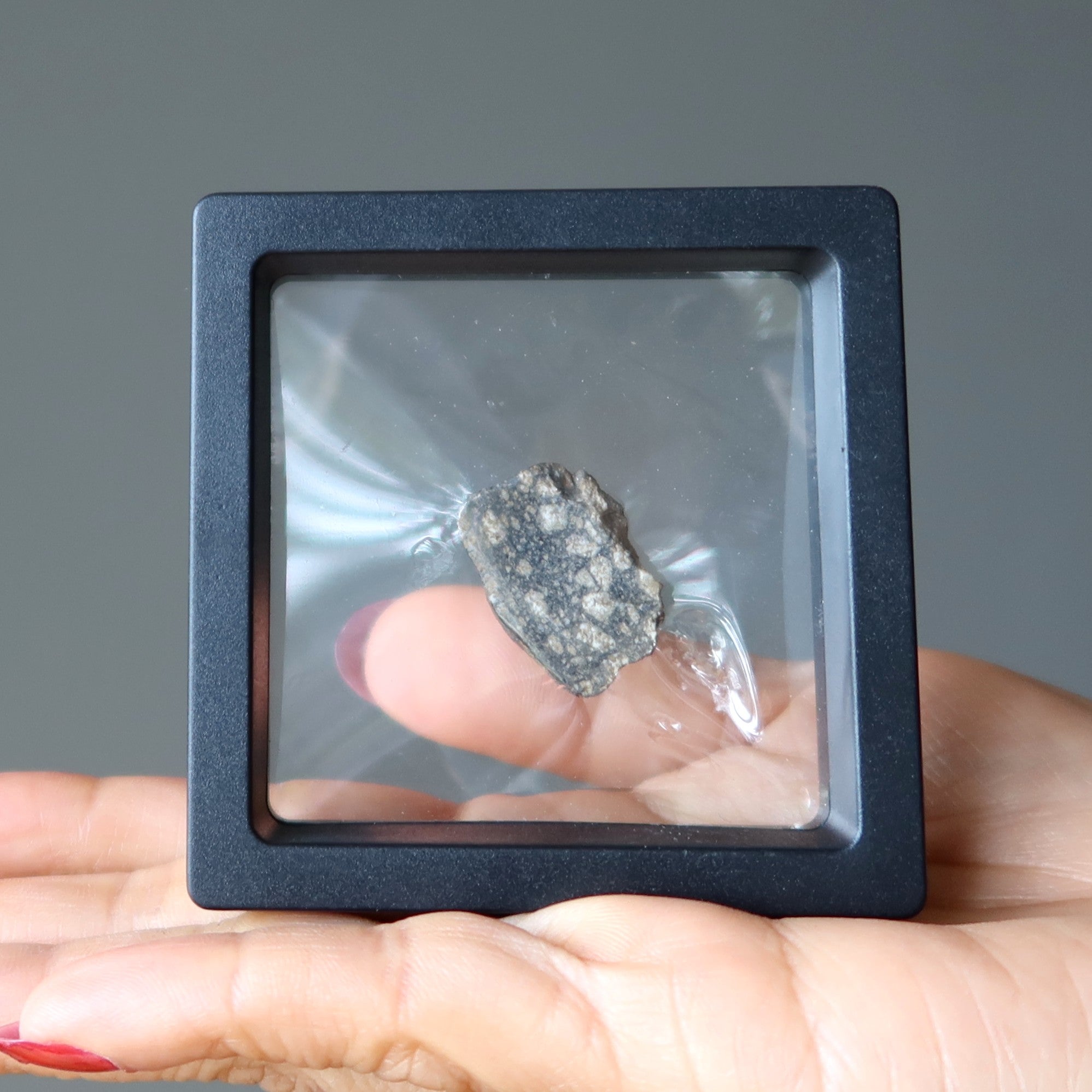 Eucrite Meteorite Goddess Vesta Asteroid Belt Stone