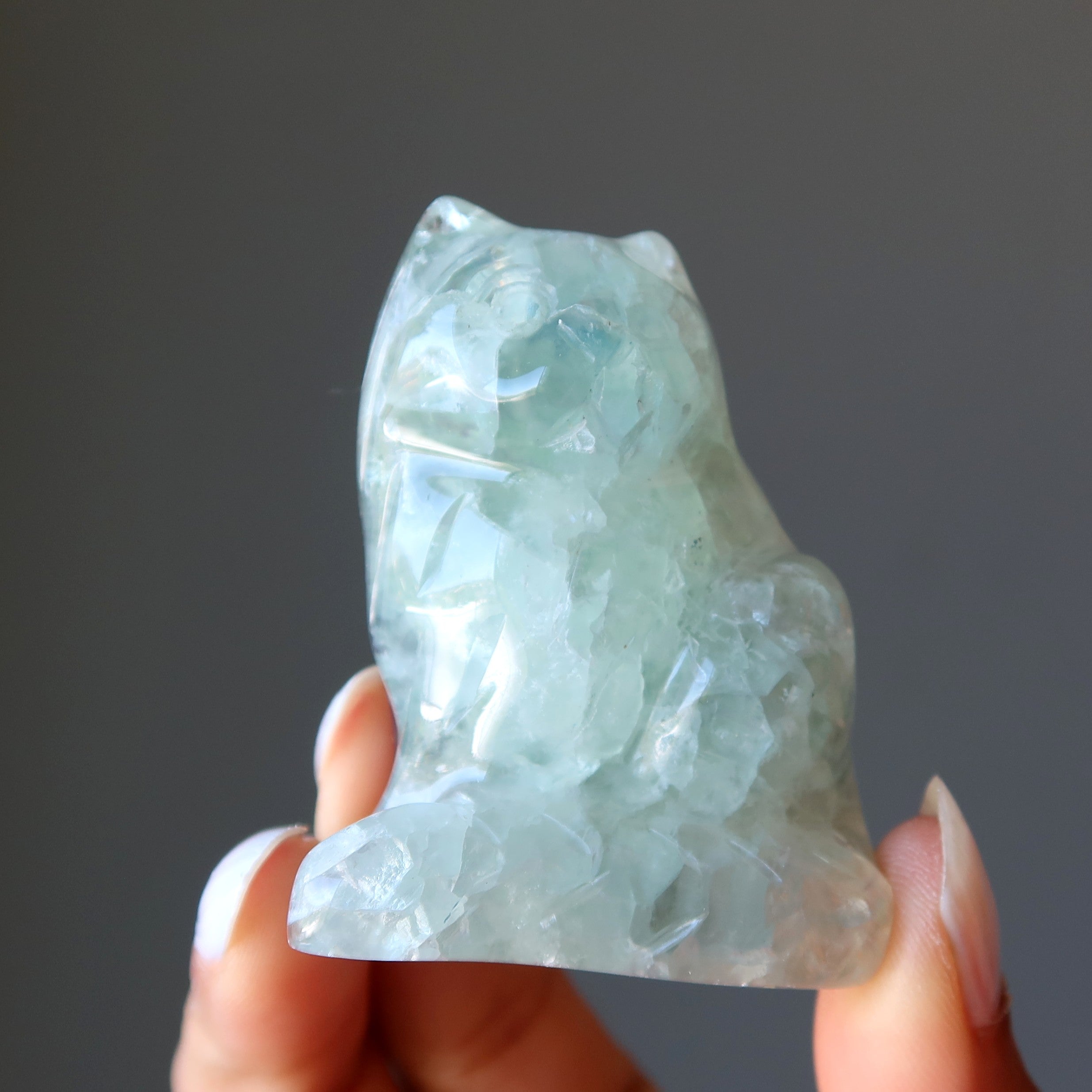 Fluorite Chat Vert Violet Persévérance Animal