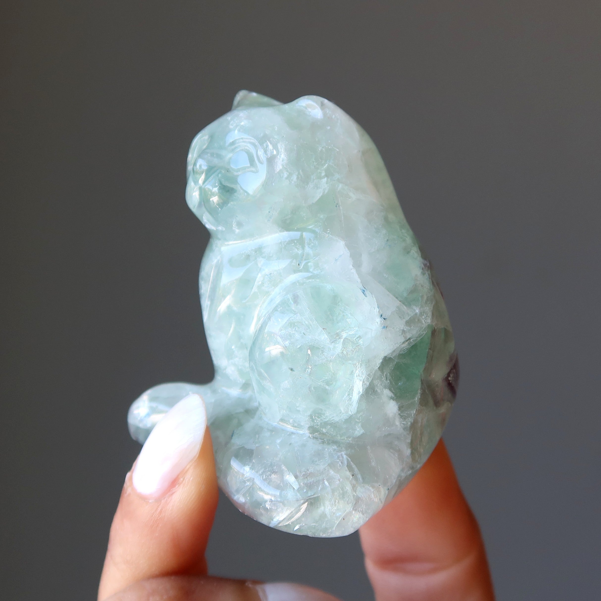 Fluorite Chat Vert Violet Persévérance Animal