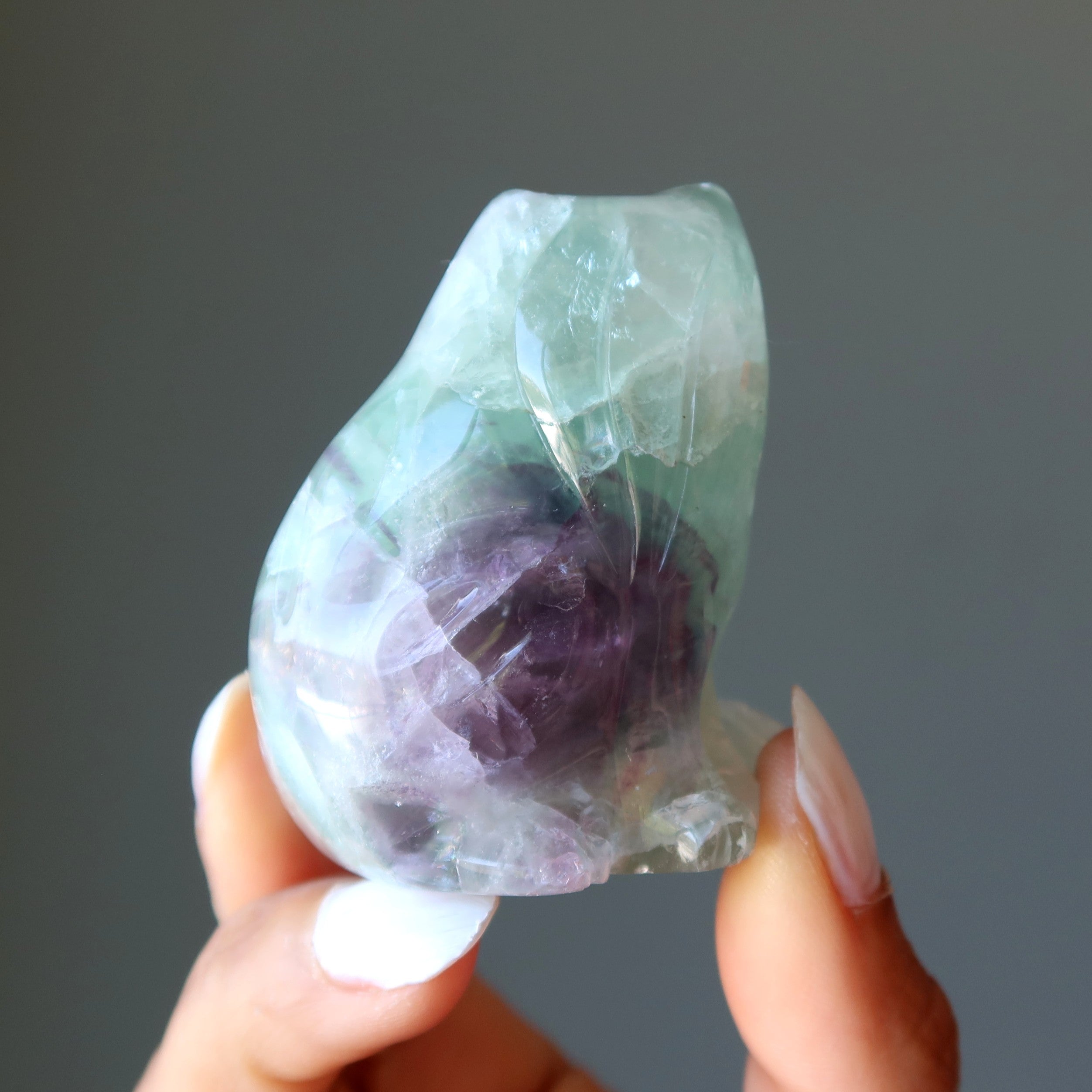 Fluorite Chat Vert Violet Persévérance Animal