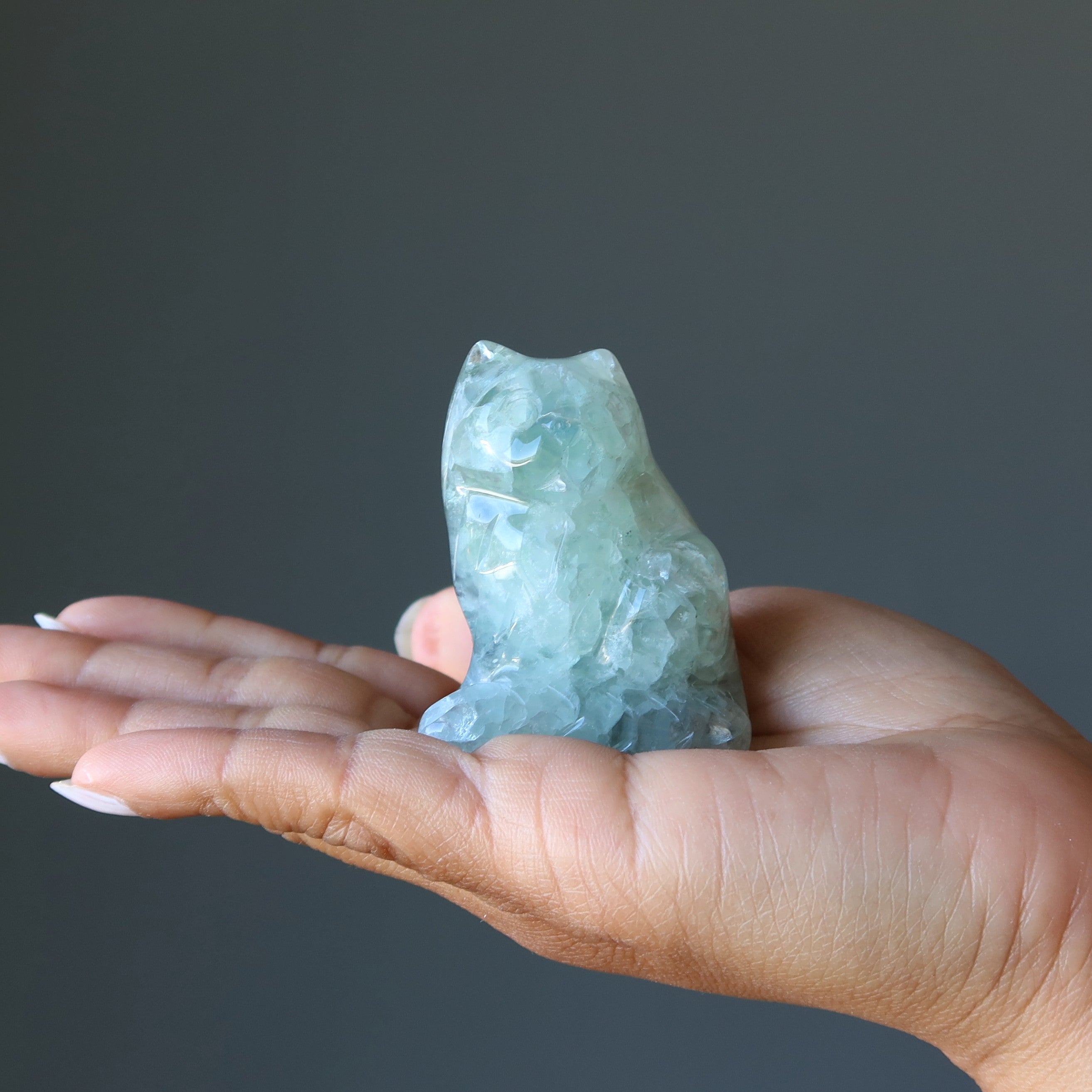 Fluorite Chat Vert Violet Persévérance Animal