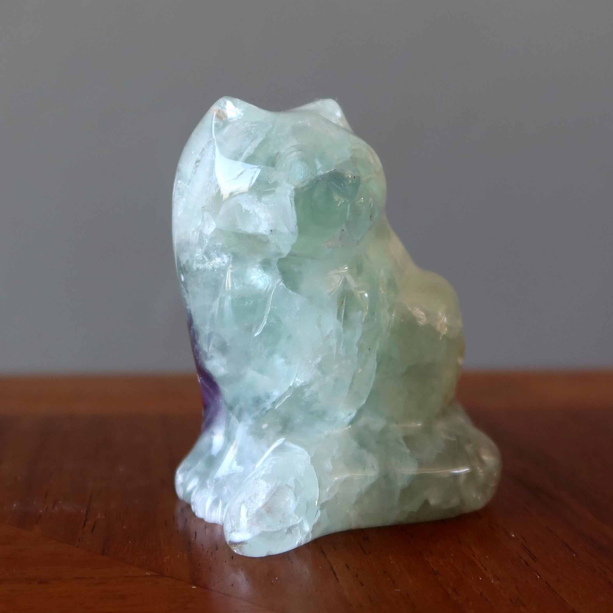 Fluorite Chat Vert Violet Persévérance Animal