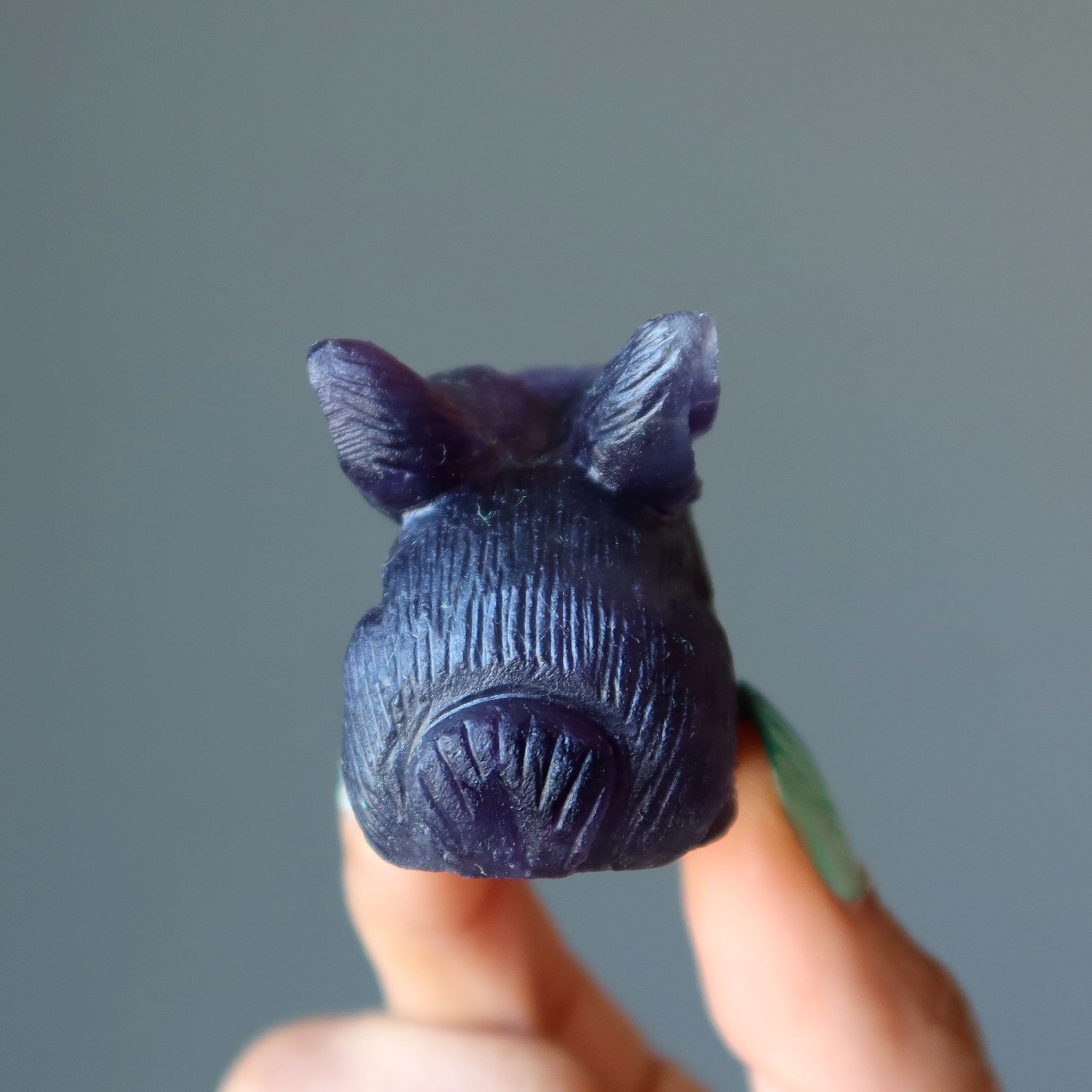 Fluorite Rabbit Hop to Health Fancy Figurine Crystal Carving