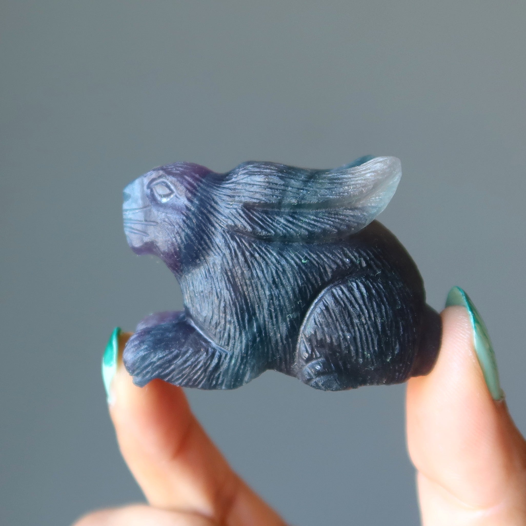 Fluorite Rabbit Hop to Health Fancy Figurine Crystal Carving