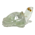 Fluorite tortue vert guerrier blessé
