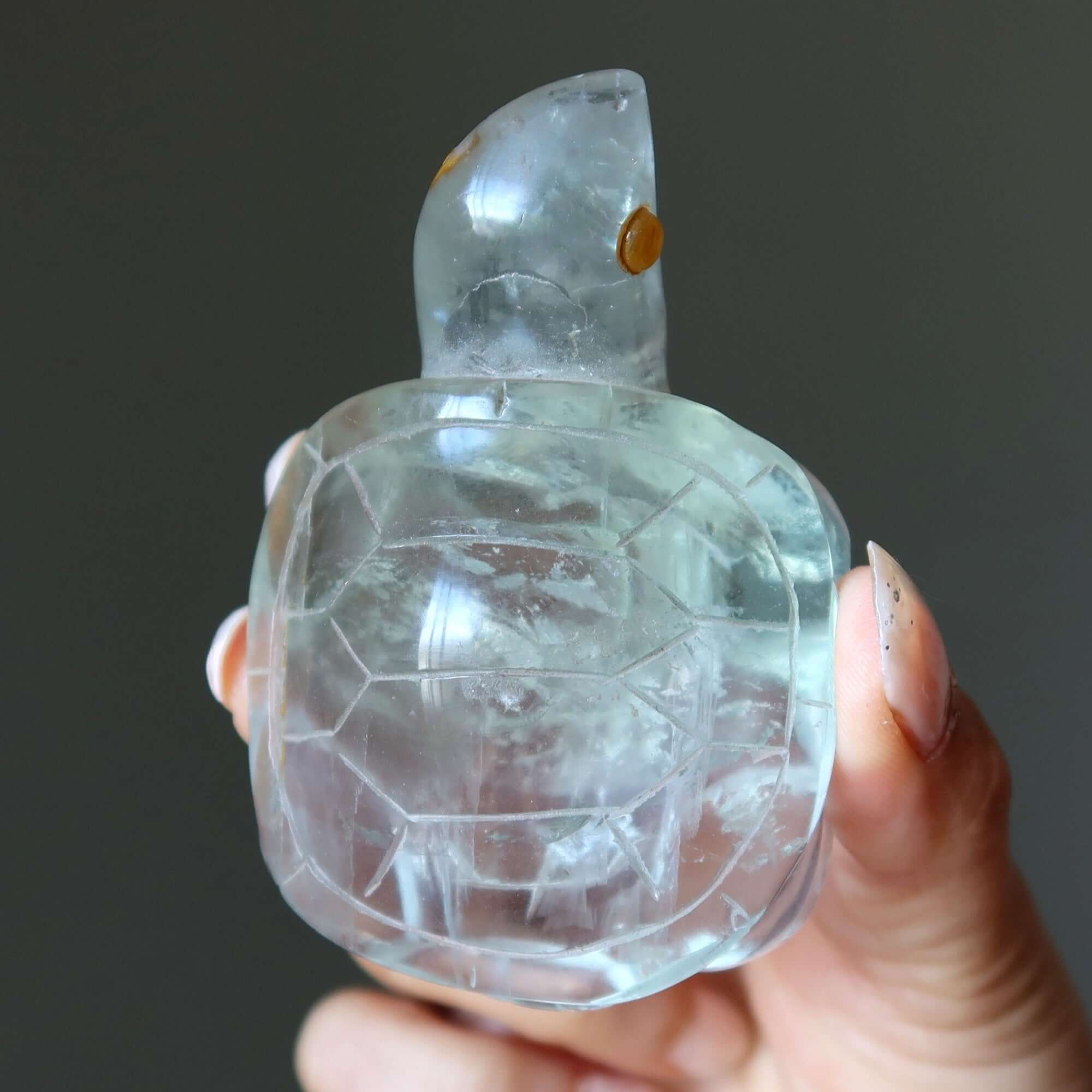 Fluorite tortue vert guerrier blessé