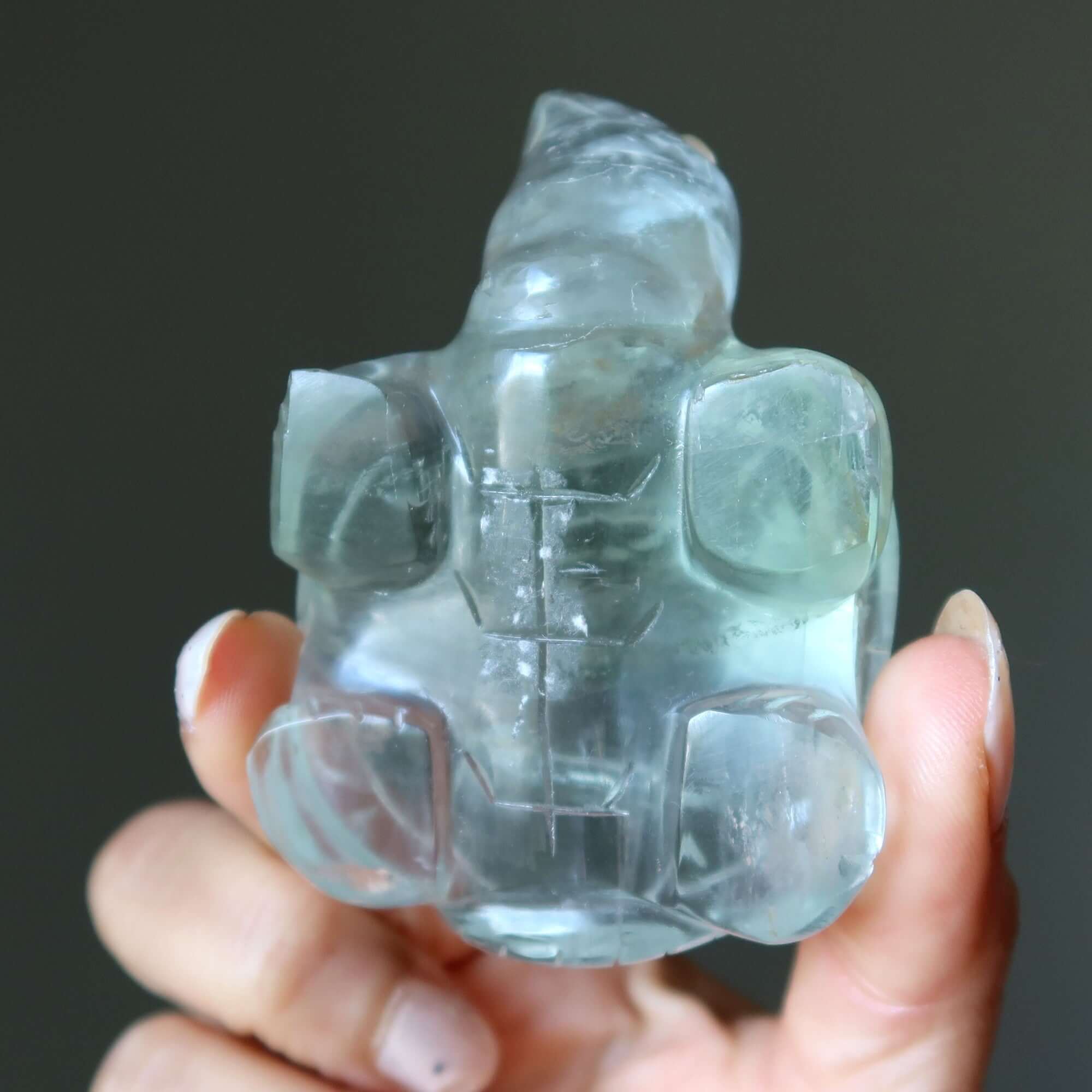 Fluorite tortue vert guerrier blessé