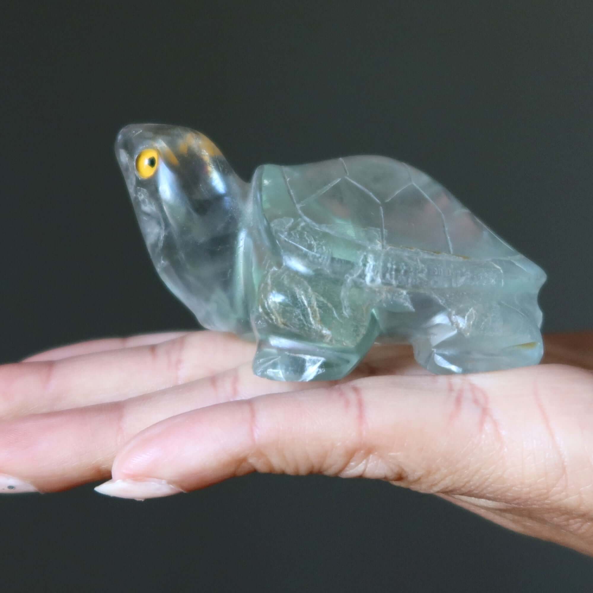 Fluorite tortue vert guerrier blessé