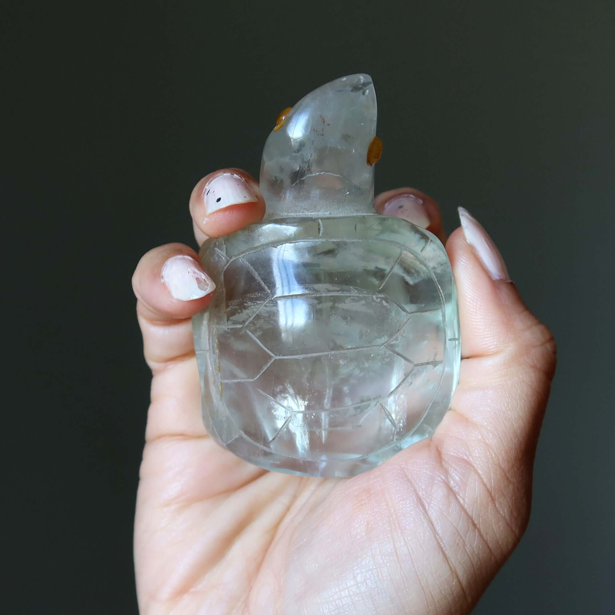 Fluorite tortue vert guerrier blessé