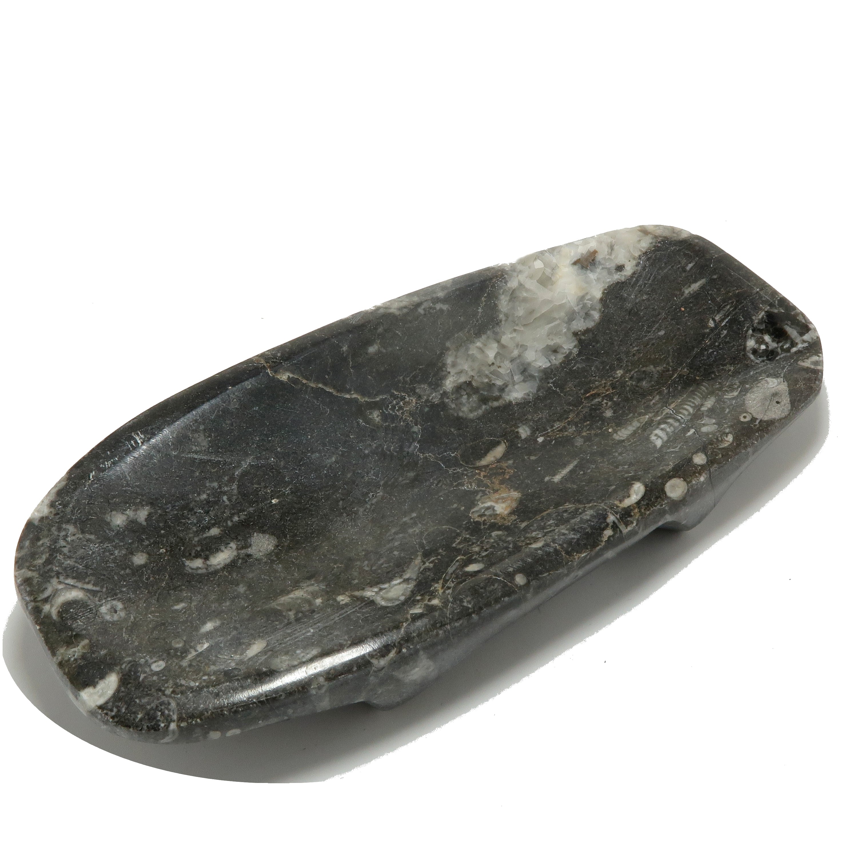 Plat de charge fossile Orthoceras Guerrier blessé ancien