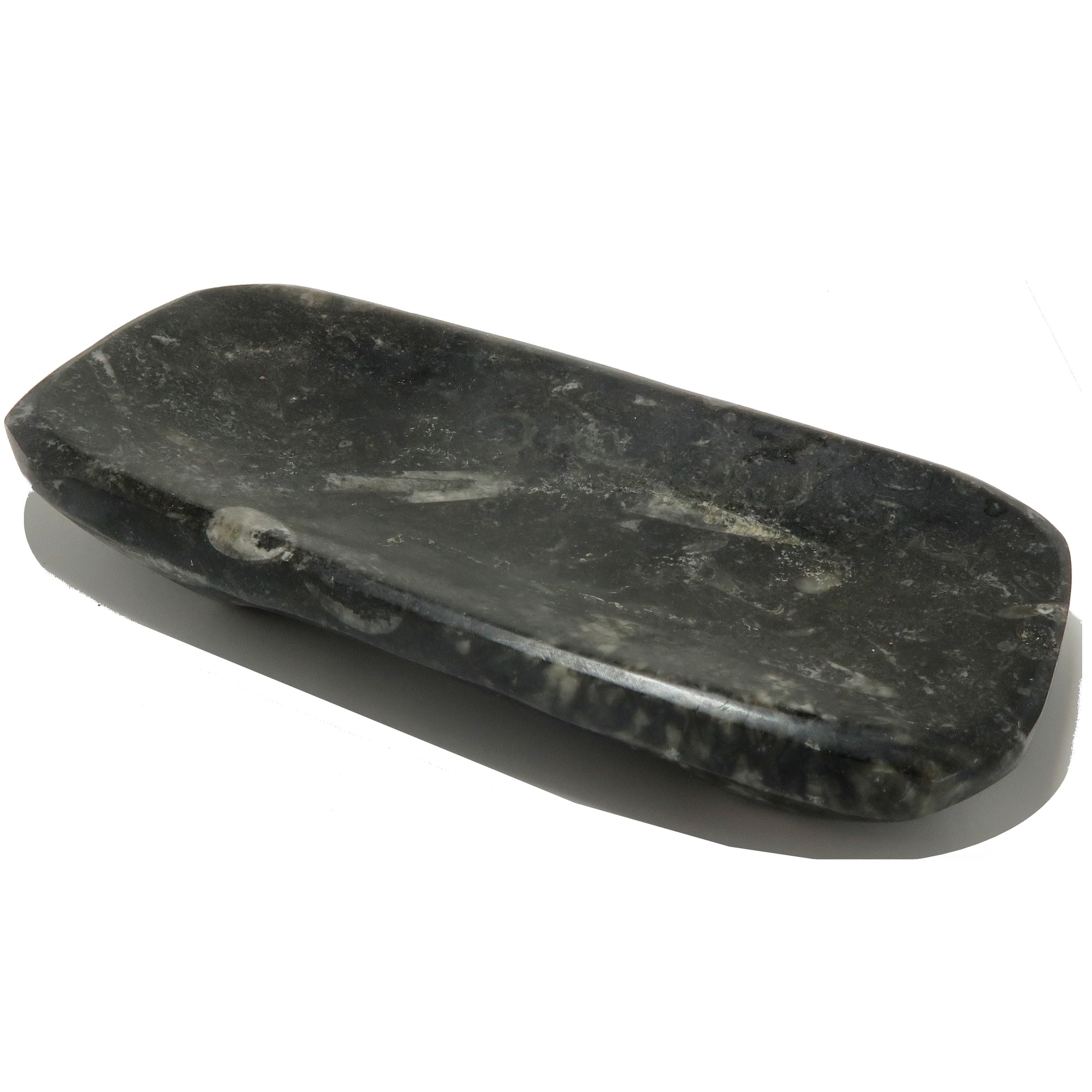 Plat de charge fossile Orthoceras Guerrier blessé ancien
