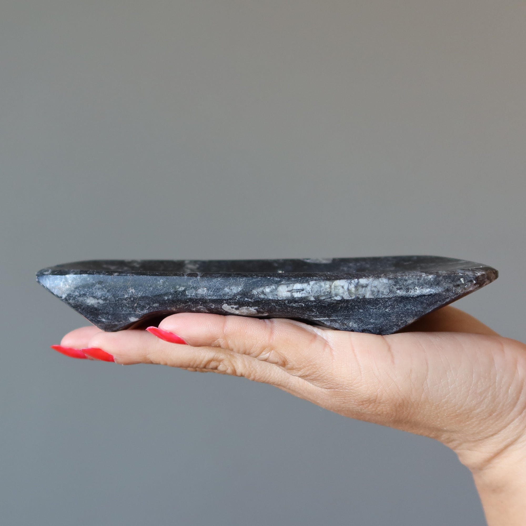 Plat de charge fossile Orthoceras Guerrier blessé ancien
