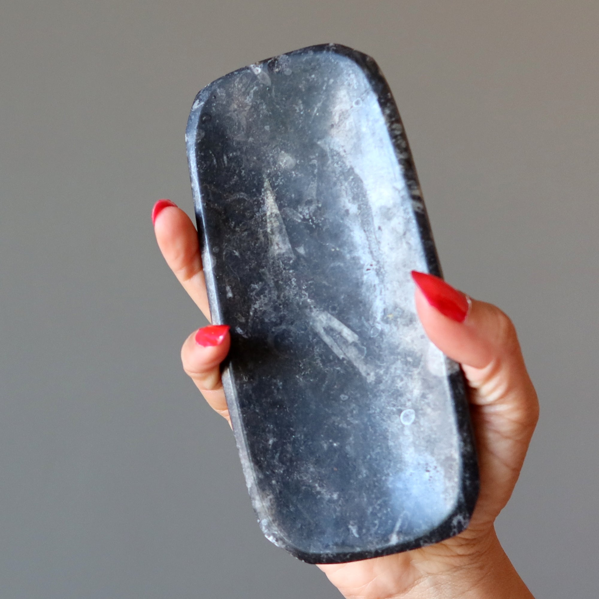 Plat de charge fossile Orthoceras Guerrier blessé ancien