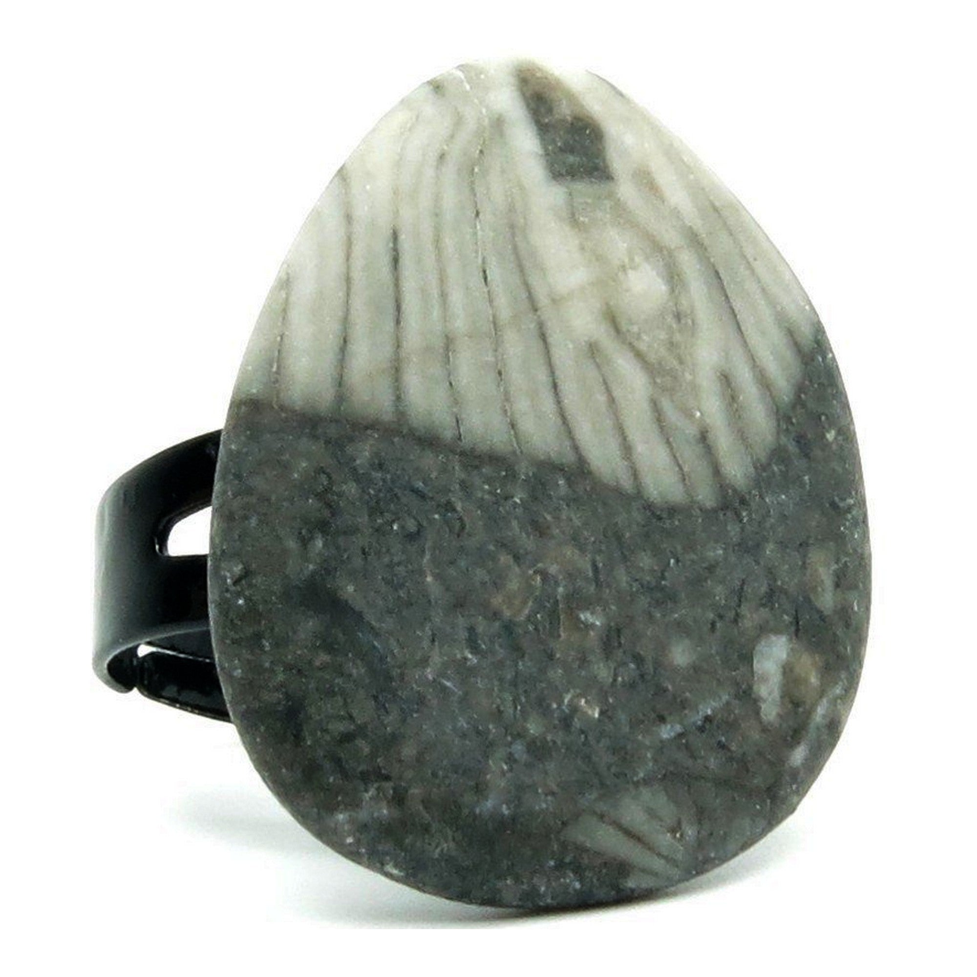 Fossilized Stone Ring Sea Capsule Black Adjustable