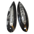 Amulette Fossile Paires de Mini Pendentifs Baguettes pour les Voyages dans les Vies Antérieures